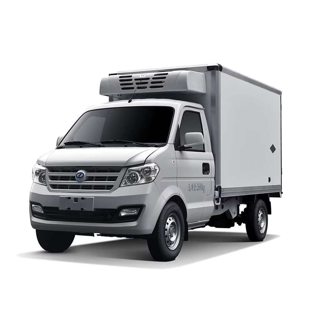 DFSK FRIGO C31 2025