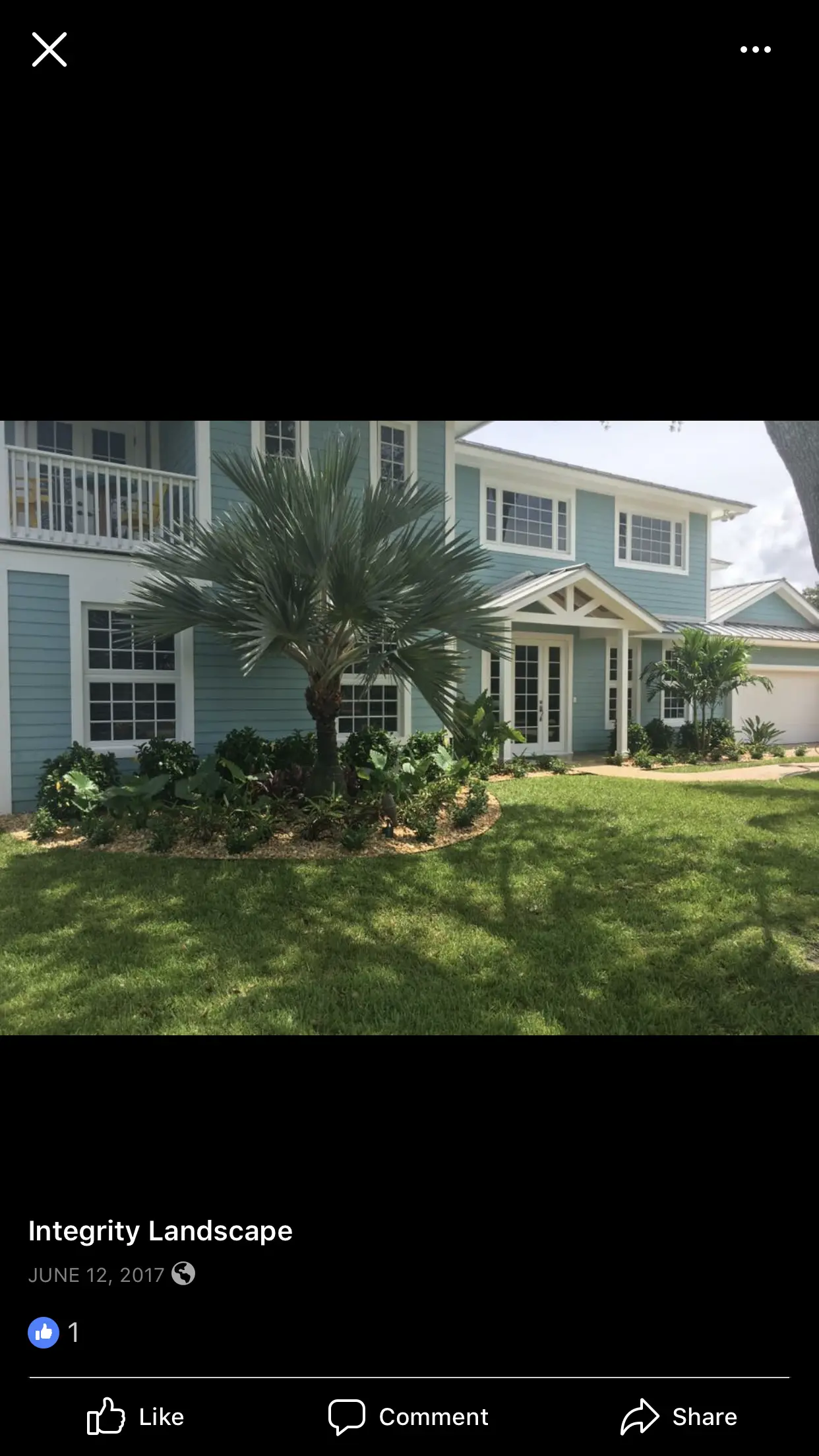 Residential landscape design by Integrity Landscape showing a fan palm planted in a mulched tropical foundation bed in front of a two-story blue-siding home in Palm Beach County
