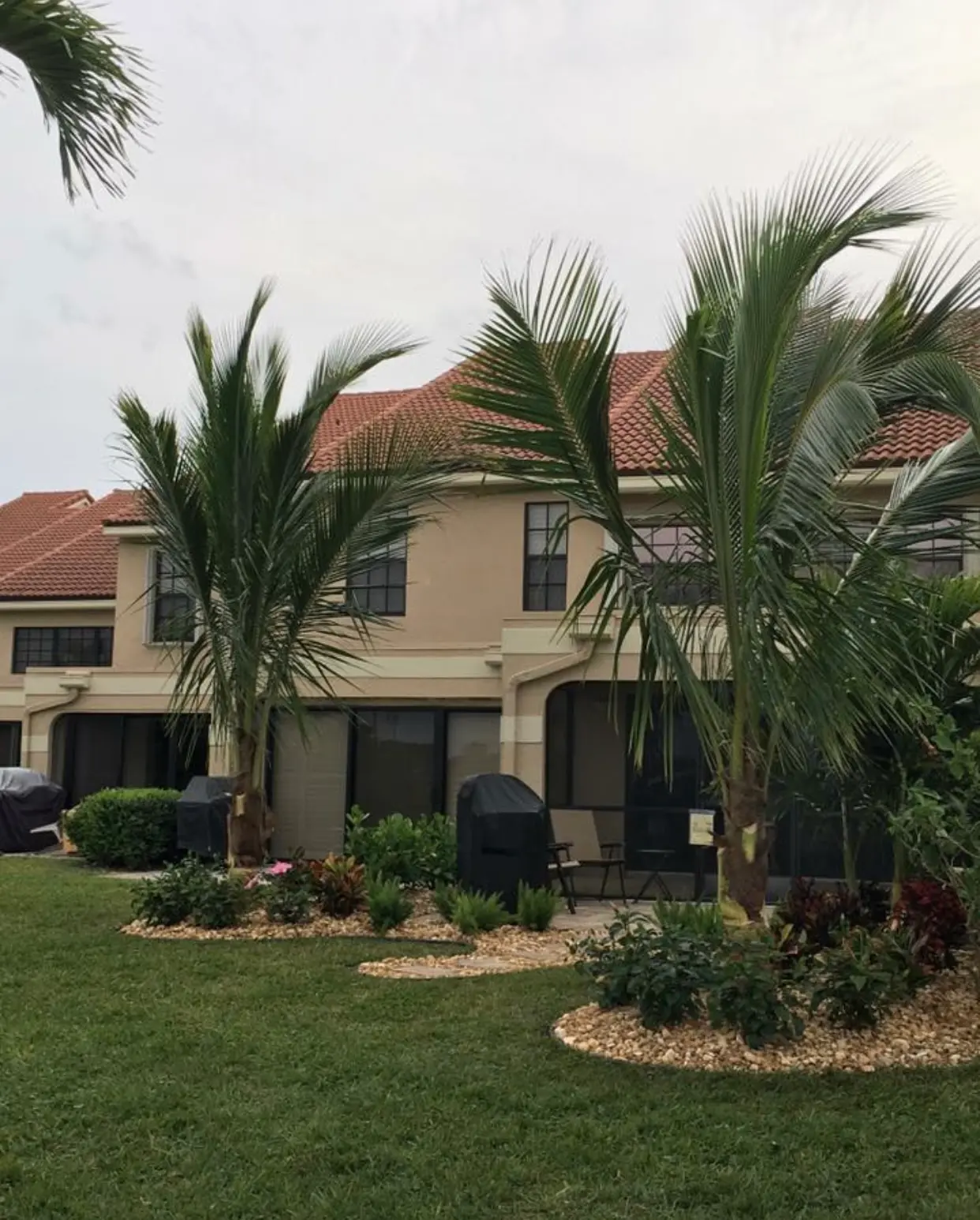 Residential landscape design by Integrity Landscape showing a two-story Mediterranean home with areca palm trees and mixed tropical shrub beds with pine bark mulch and manicured green lawn in Palm Beach County