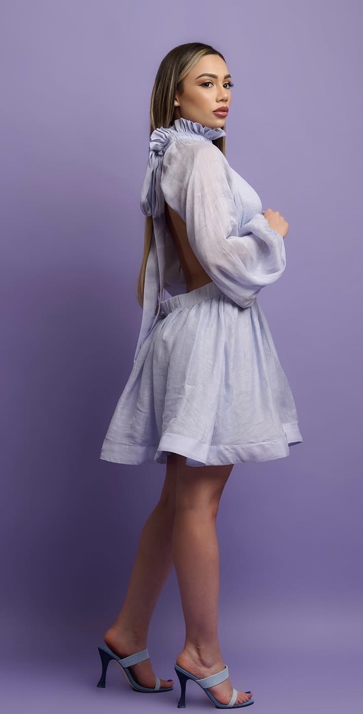 Periwinkle Ruffle Mini Dress