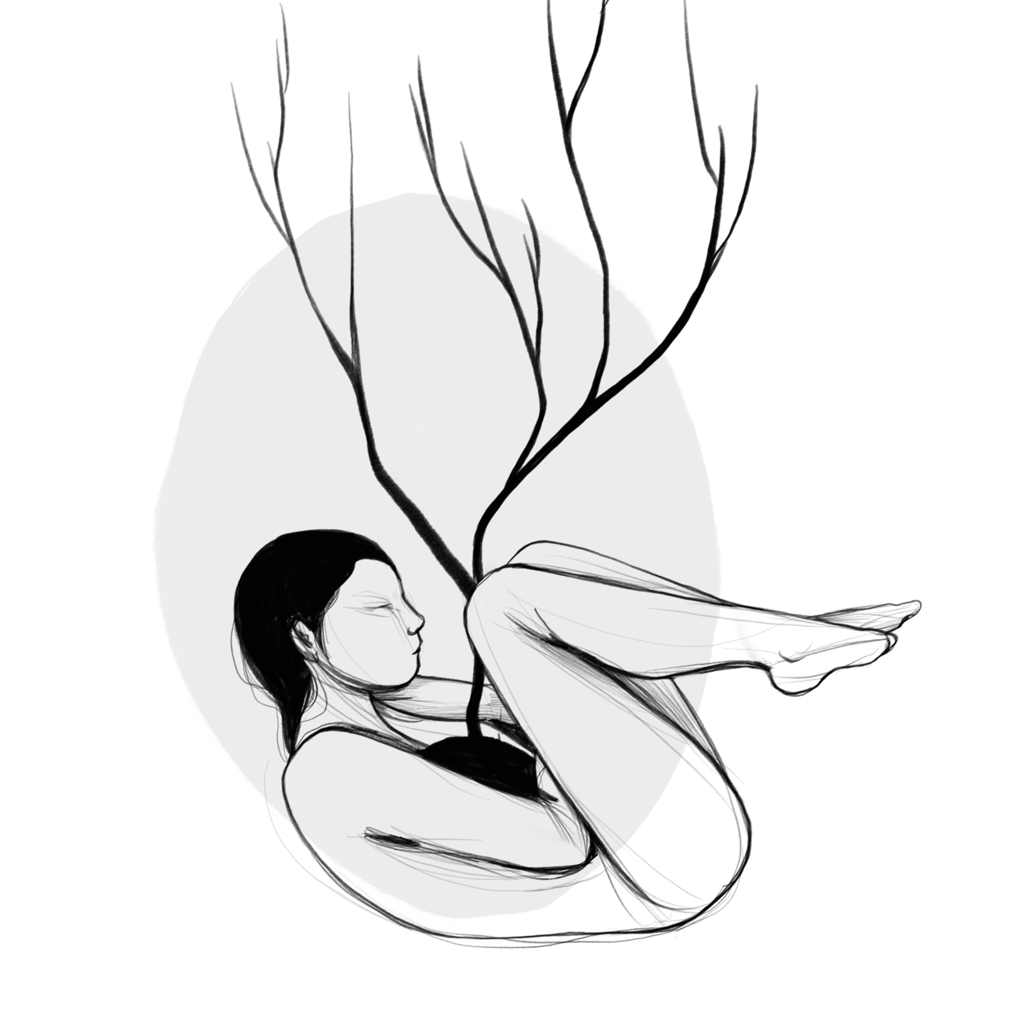 Illustrazione dal libro - radici