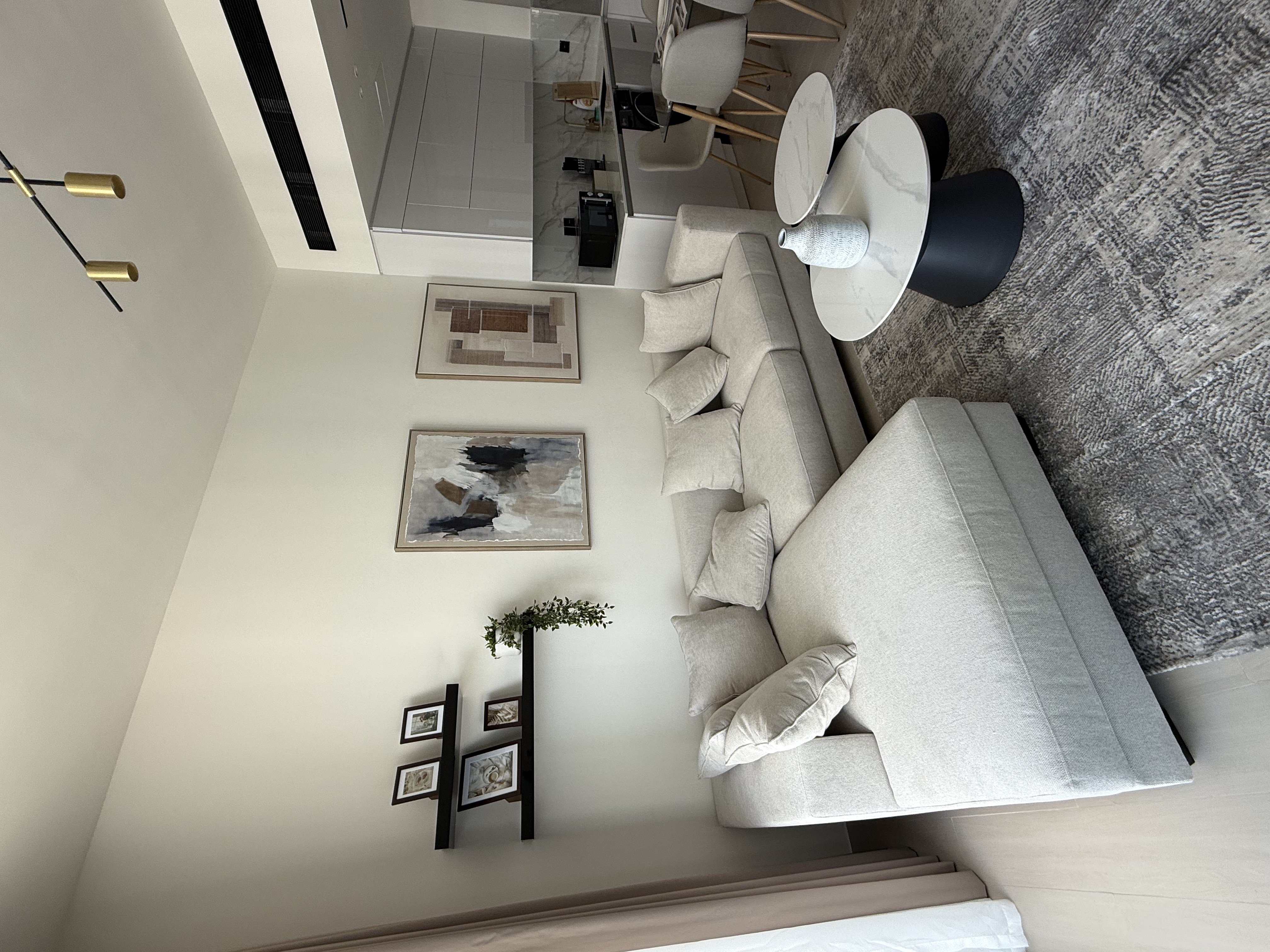 Minimalist Living Room