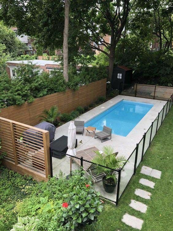 Backyard container pool with concrete patio, glass fence, and lush greenery
