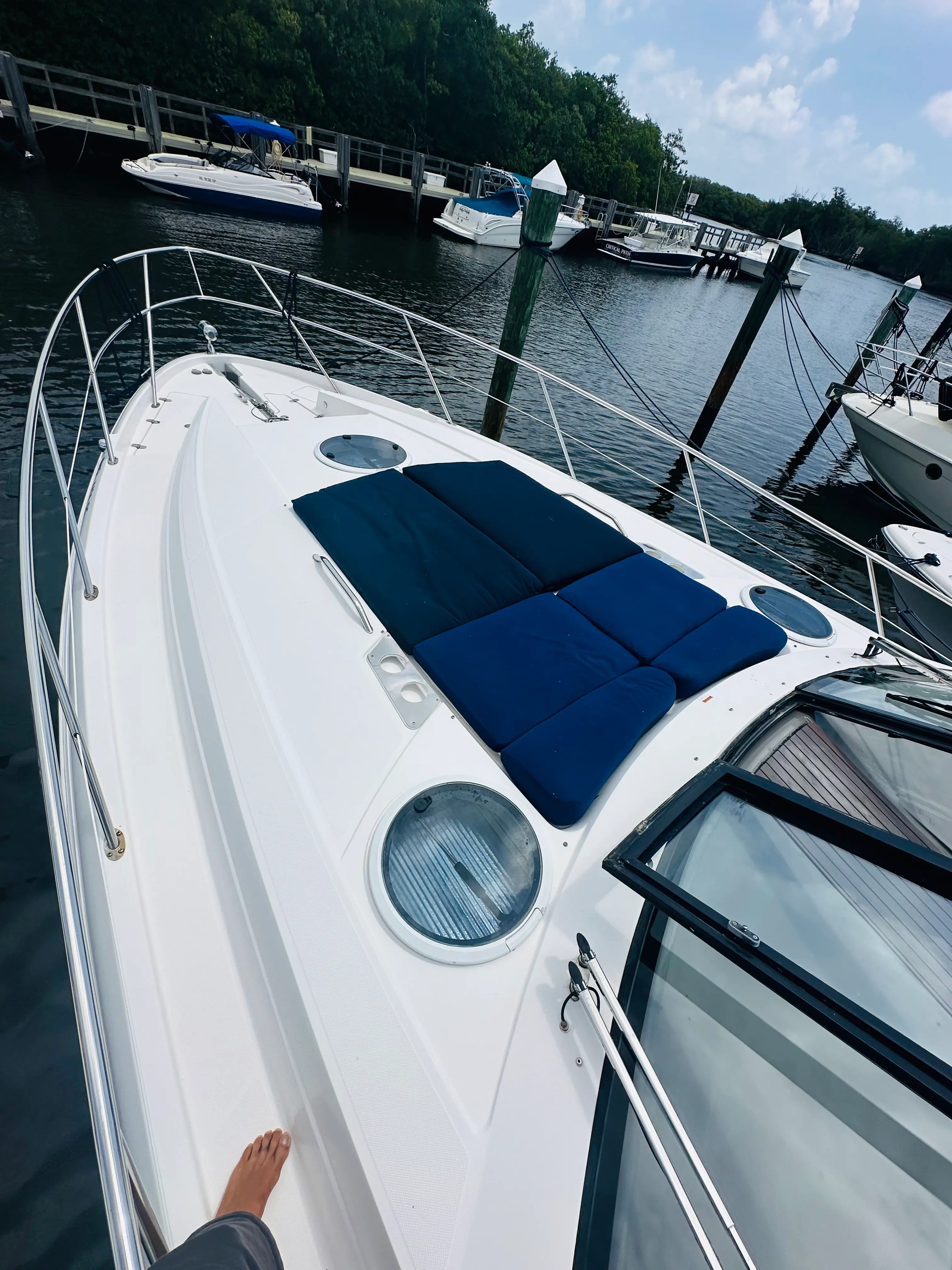 Bow sun deck of the Elite Sport Yachts Regal Sport Coupe showing navy blue cushioned sunpads and polished chrome safety rails at the marina