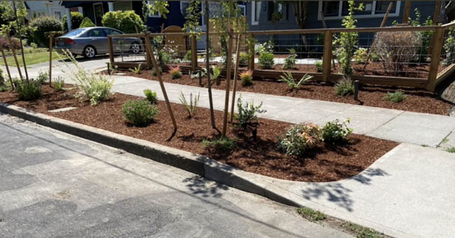 Front yard with native plantings, mulch beds, and horizontal cedar fence