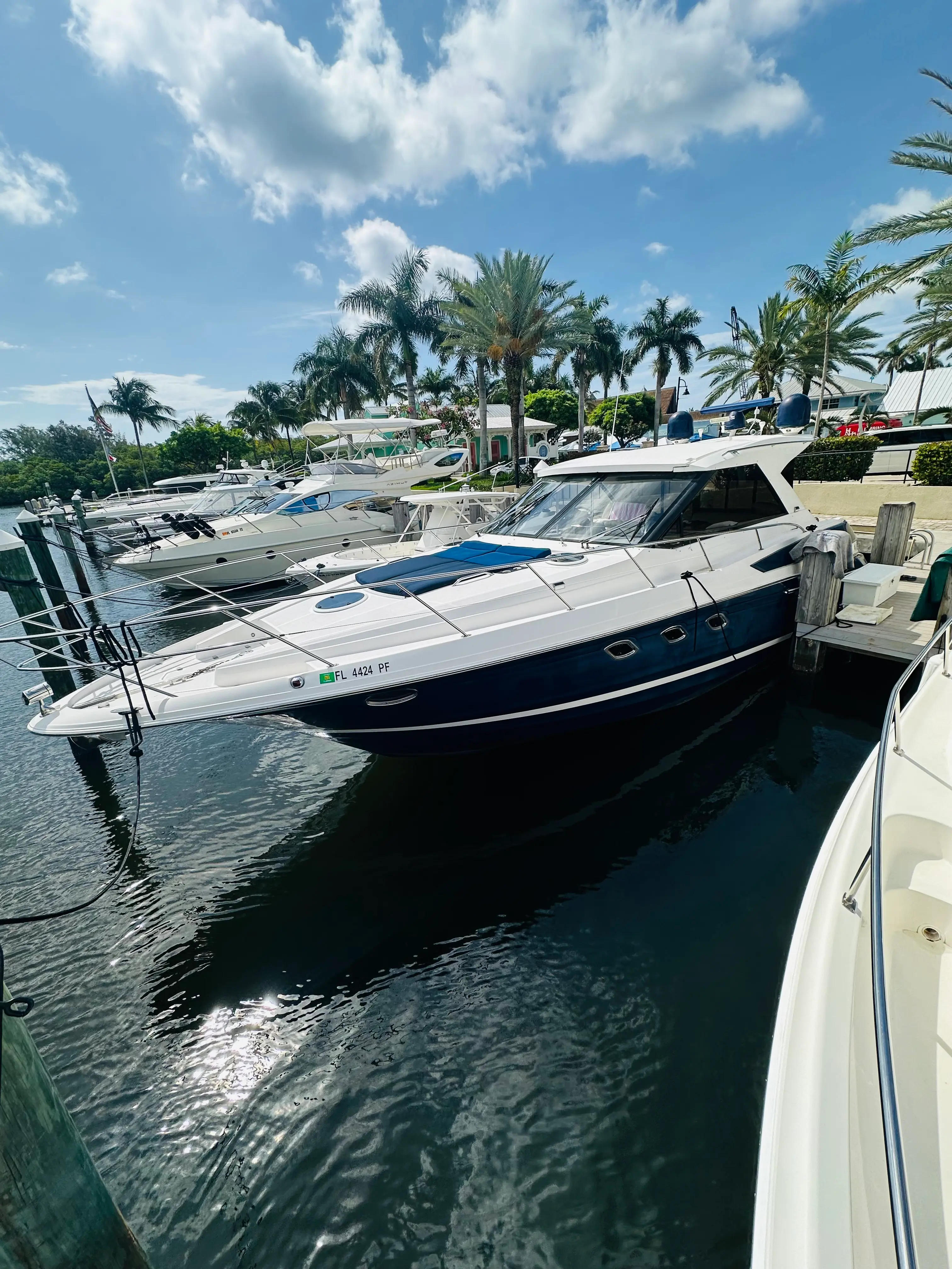 The Elite Sport Yachts 46ft Regal Sport Coupe 'Sea-life' moored at a West Palm Beach marina, showcasing its striking navy and white hull, bow sunpads, and sport coupe hardtop profile
