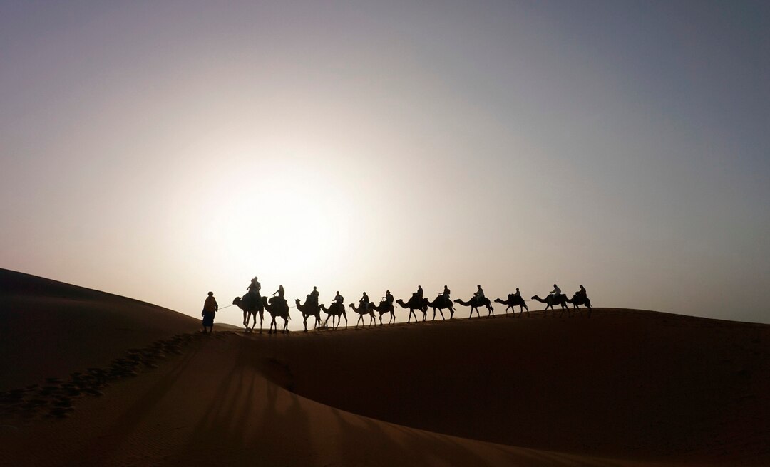 Silhouette of camel caravan crossing desert dunes at sunset, symbolizing Islamic heritage and Prophet Ibrahim's journey