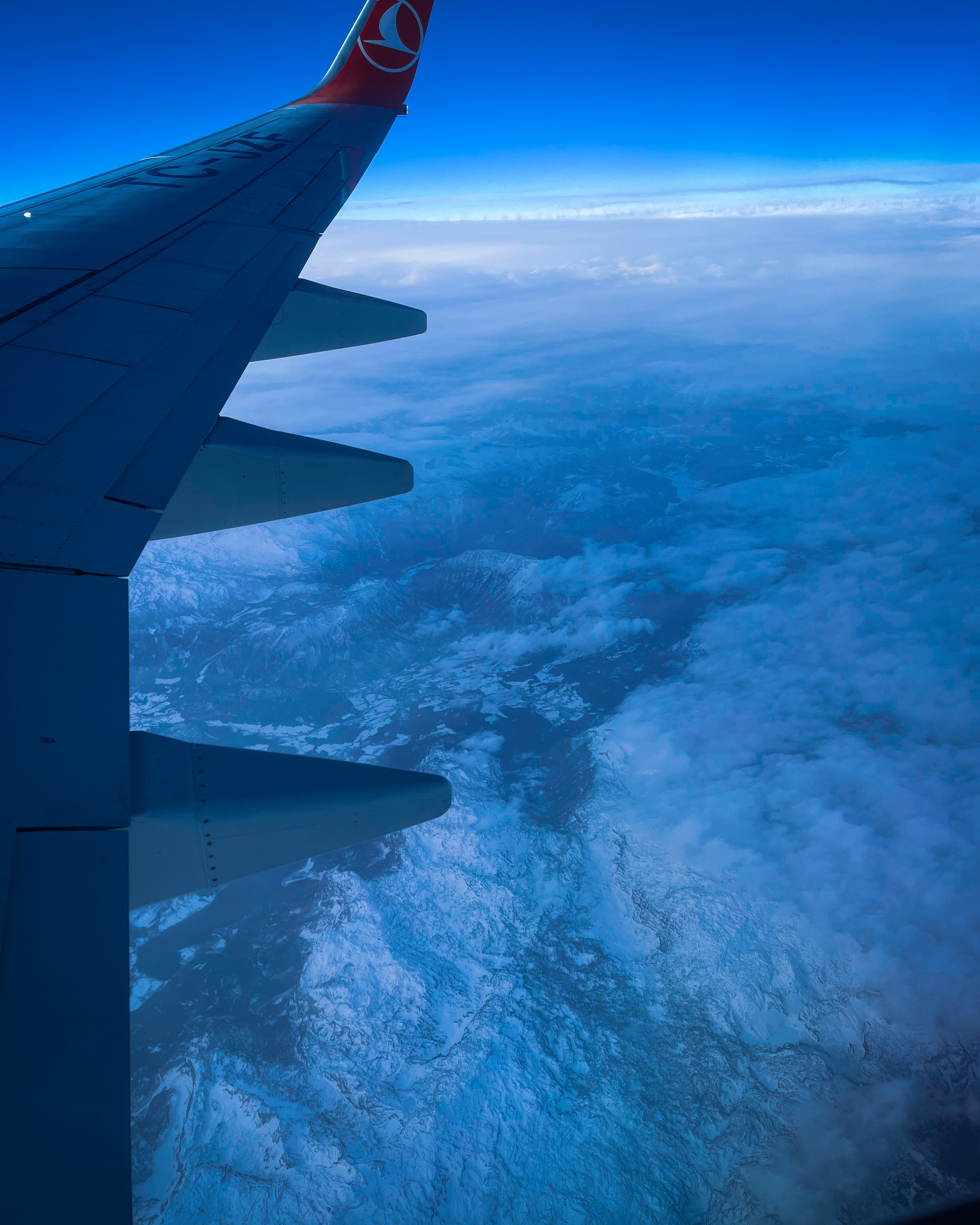 IMG_1521 / Flight view