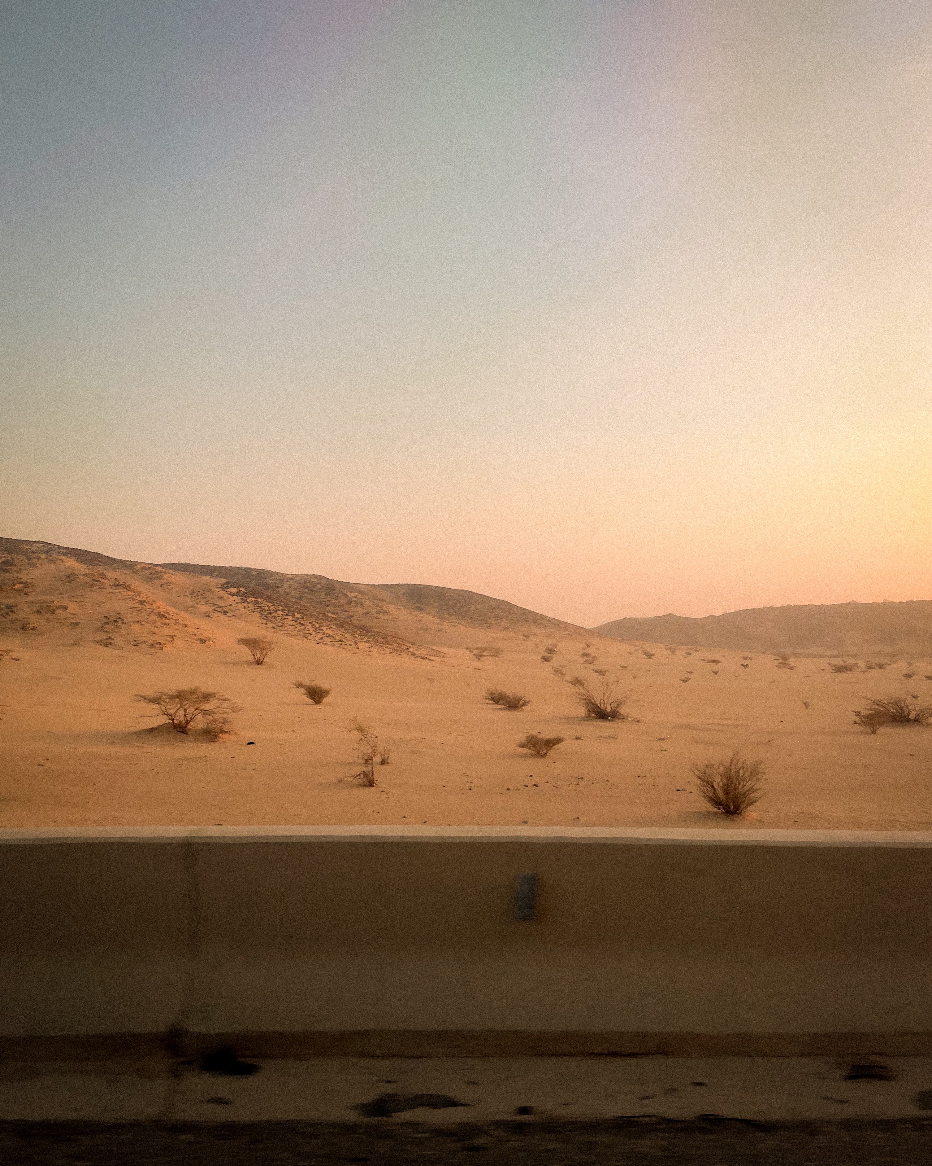 IMG_1842 / Open desert