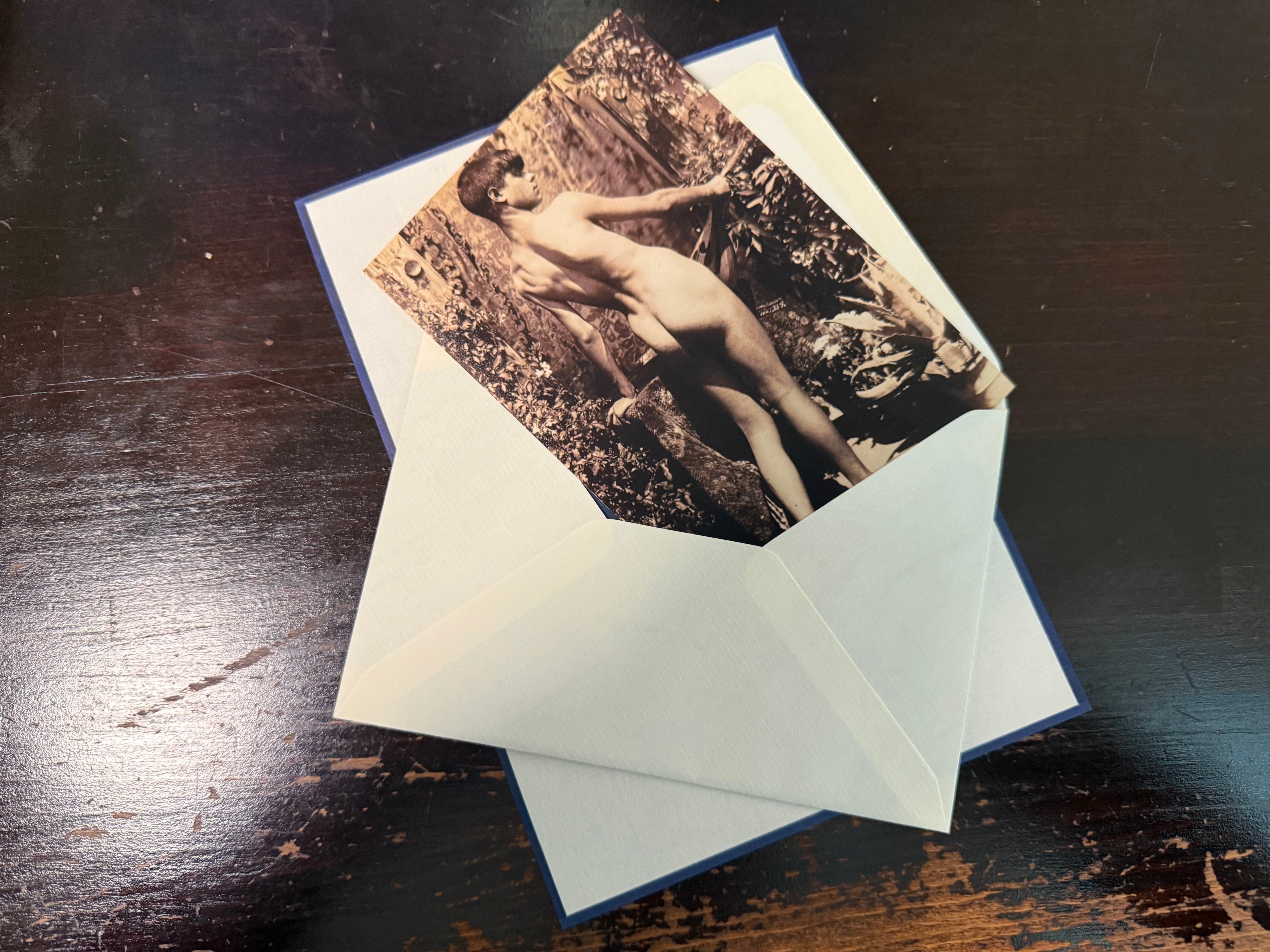 Reference photograph - artistic inspiration