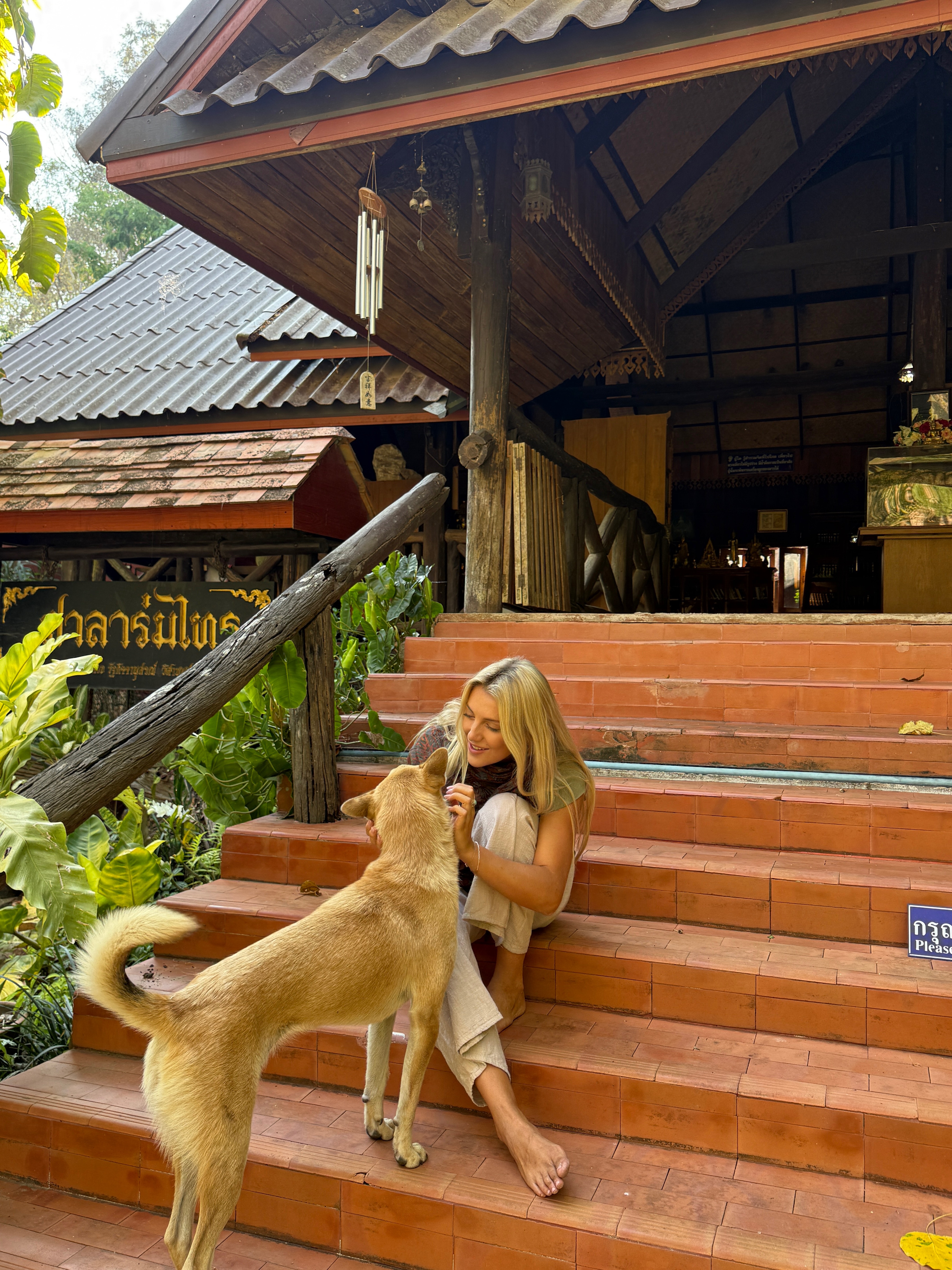 Petting golden dog on temple steps