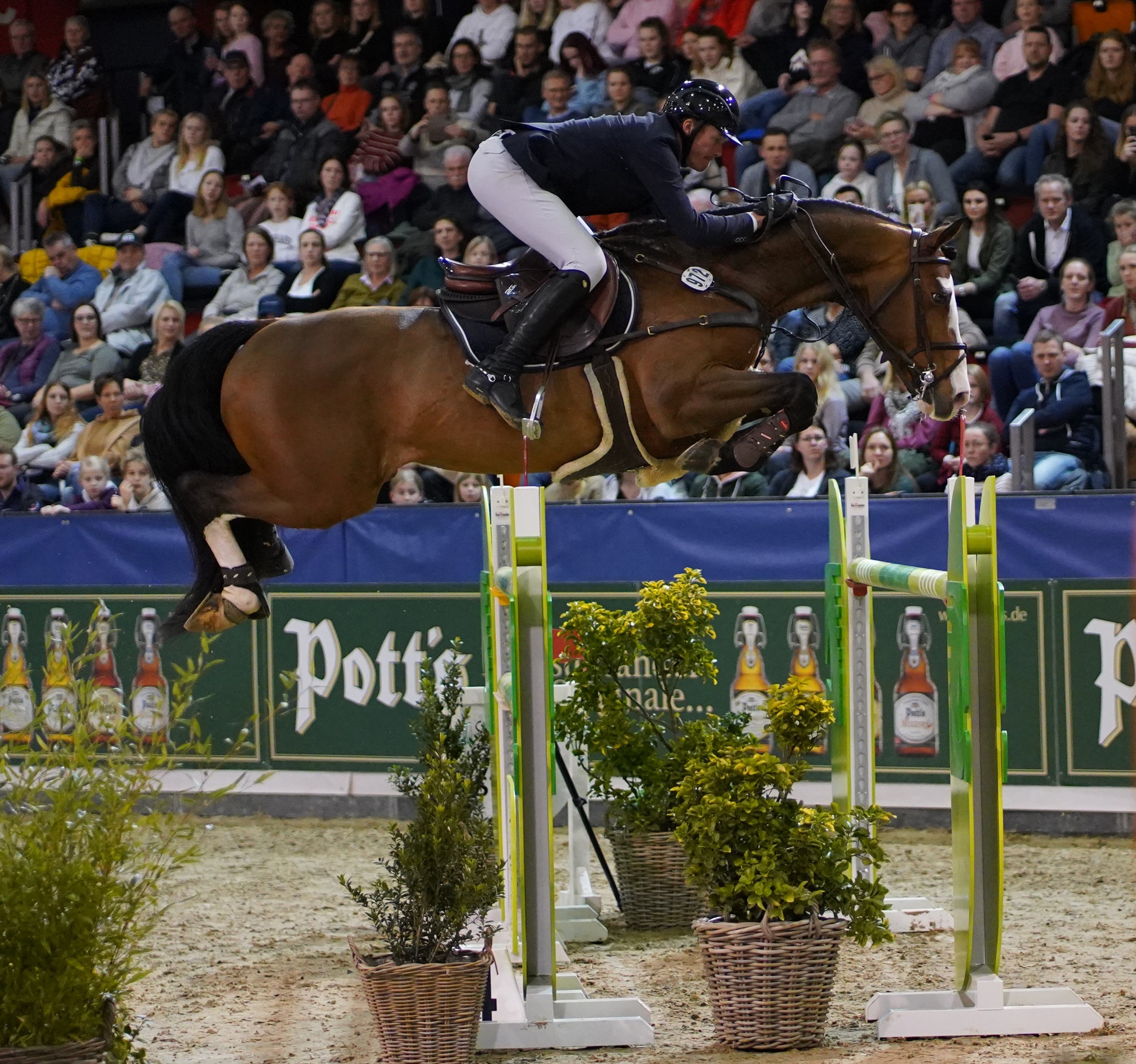 Mario Maintz Show Jumping