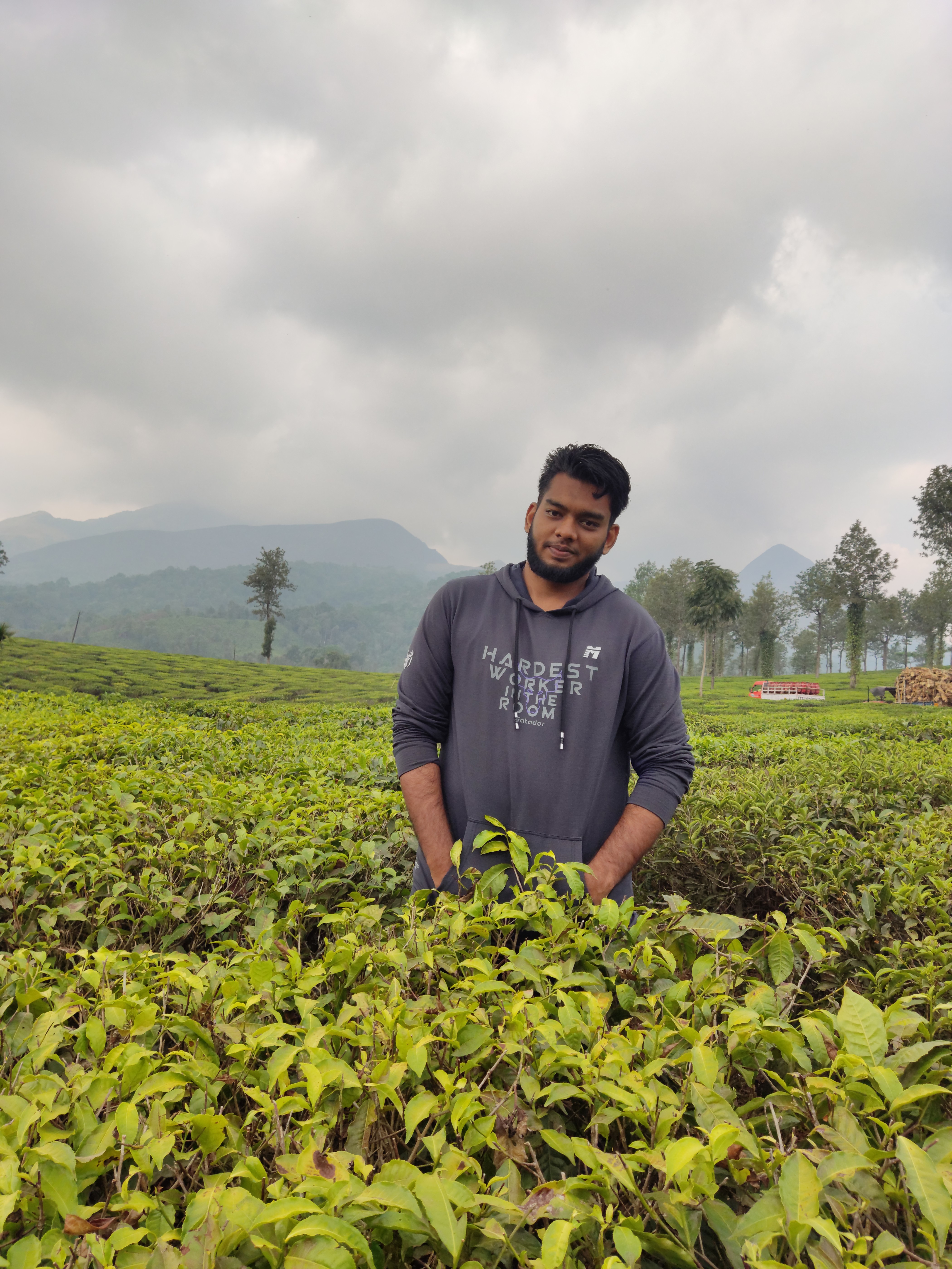 Profile photo in a tea plantation