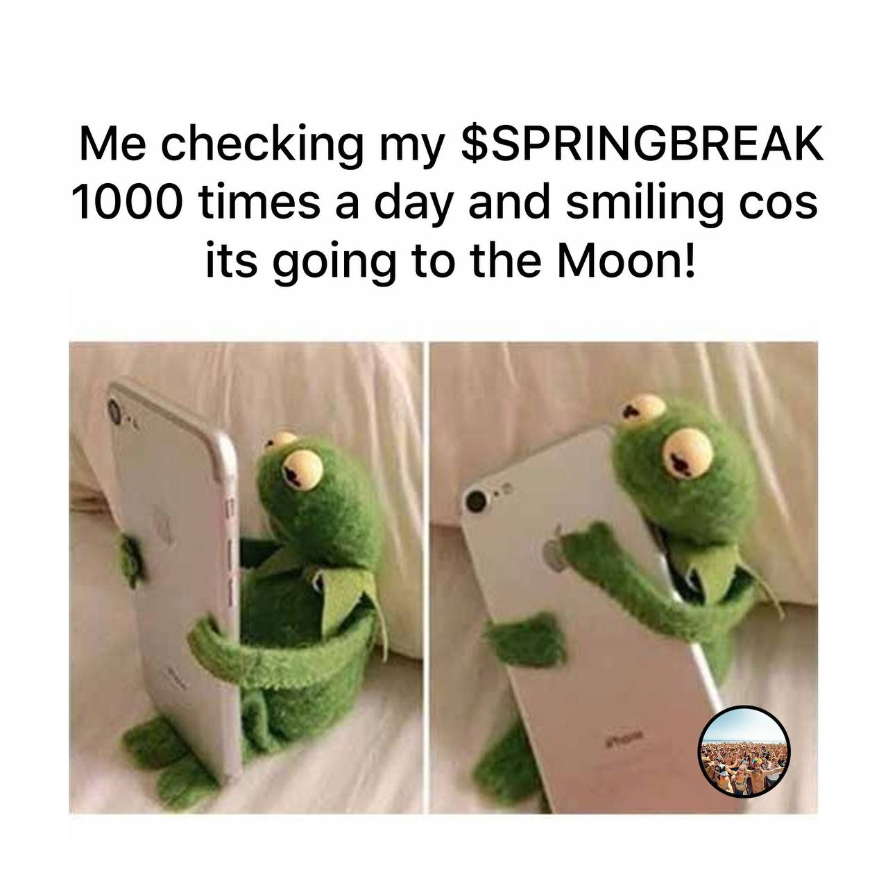 Kermit the Frog checking phone meme with text about checking $SPRING price