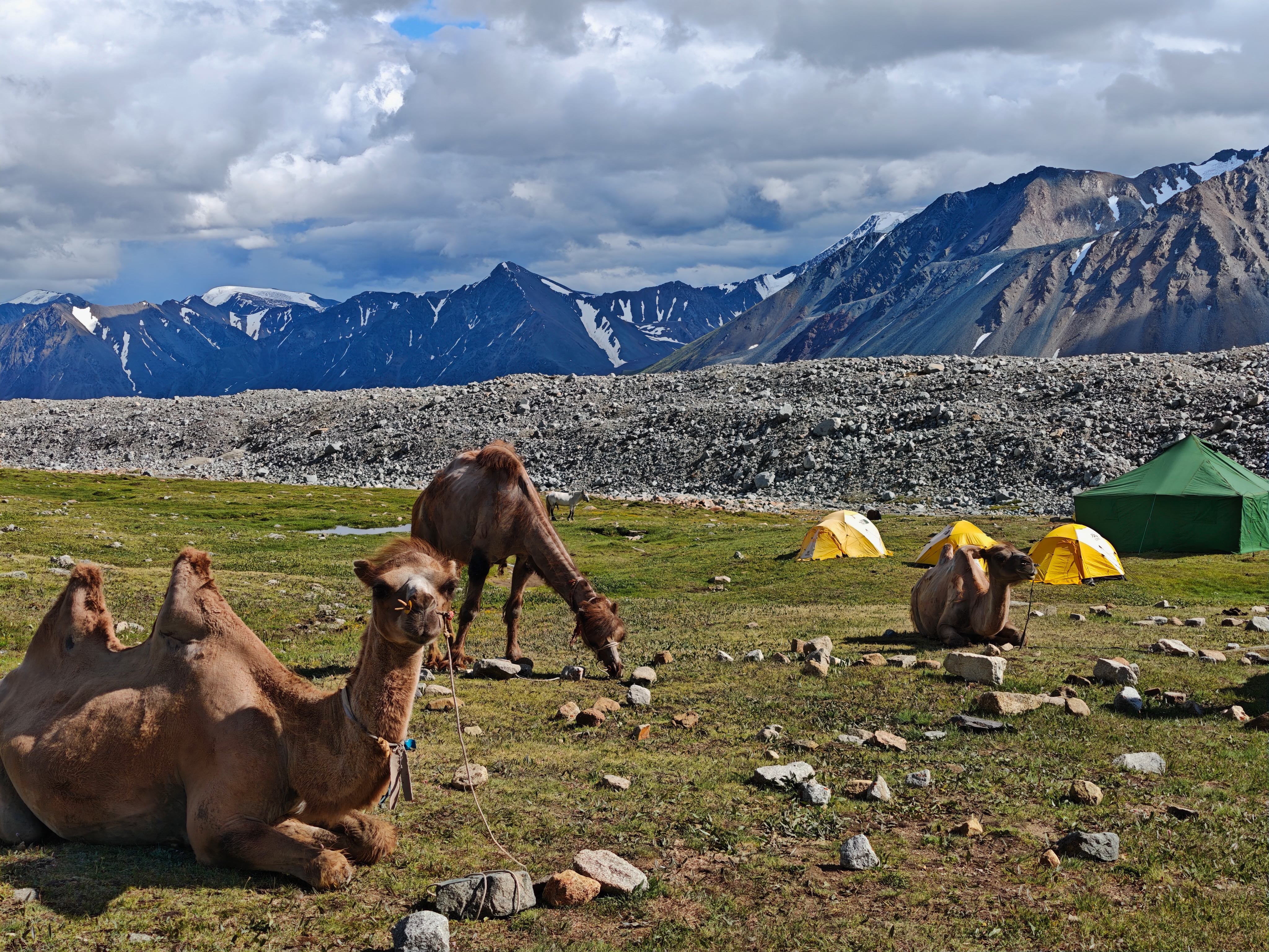 Altai Tavan Bogd, Mongolia