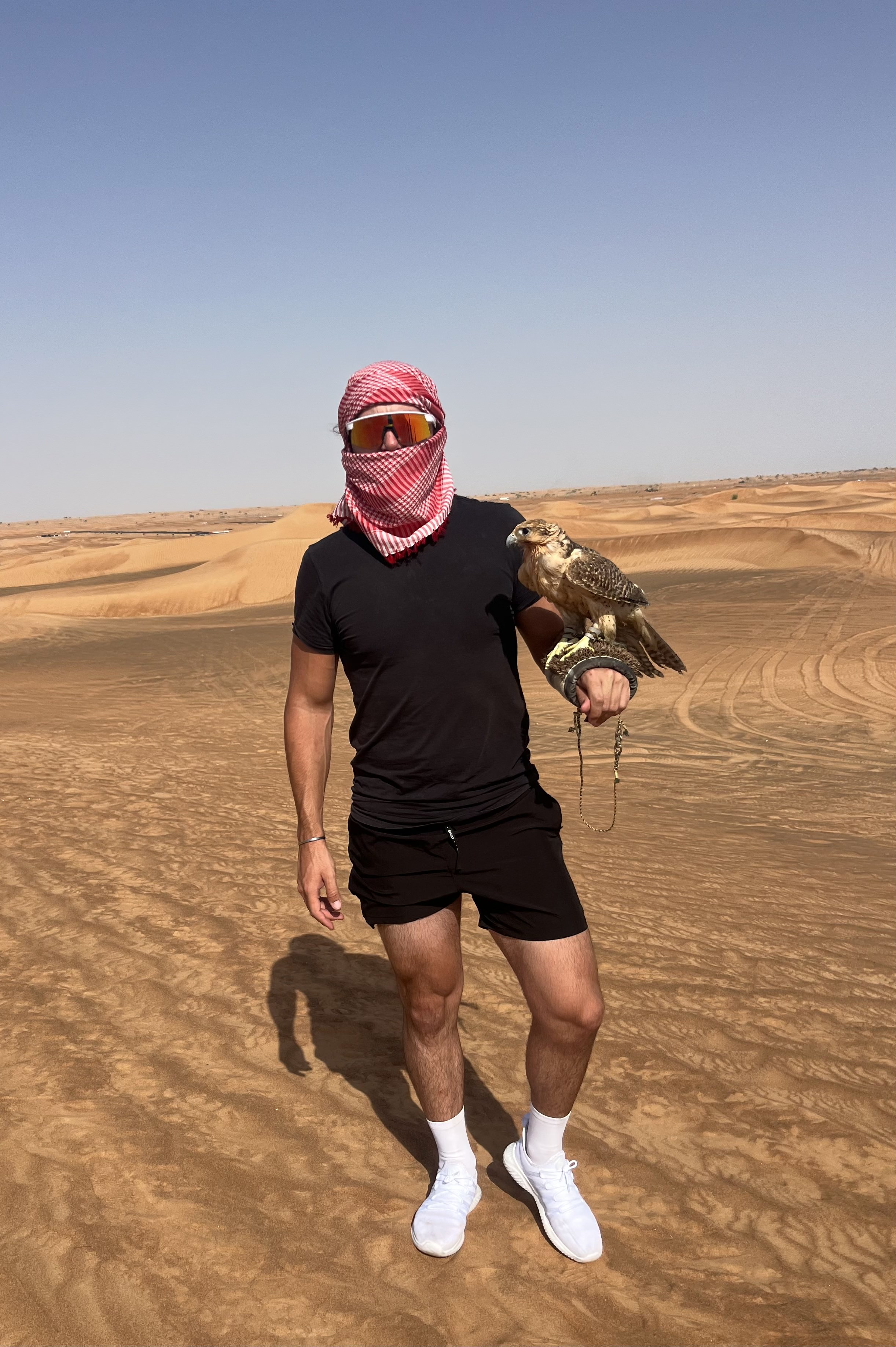 PAGS in UAE desert with falcon