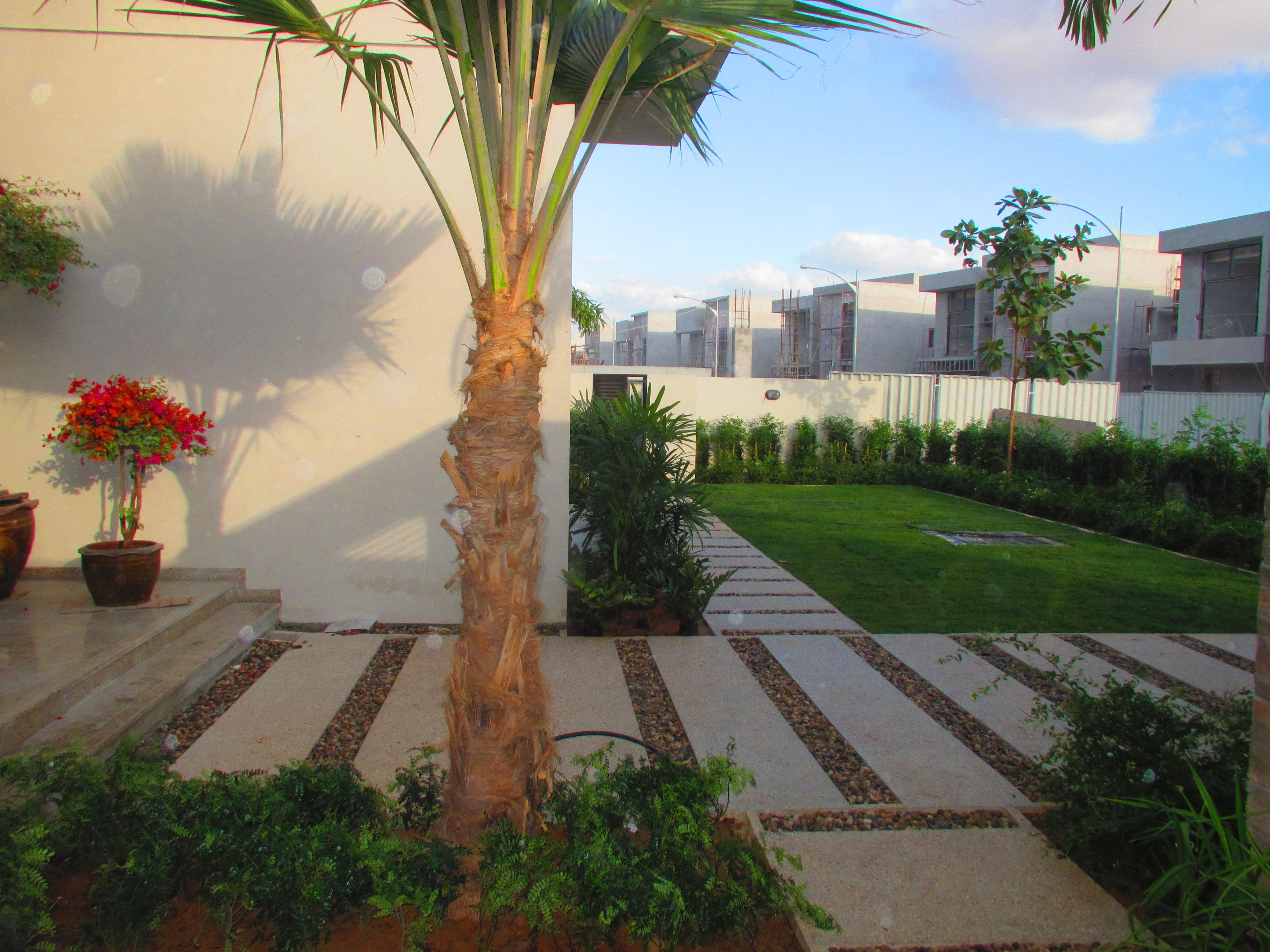Completed garden project