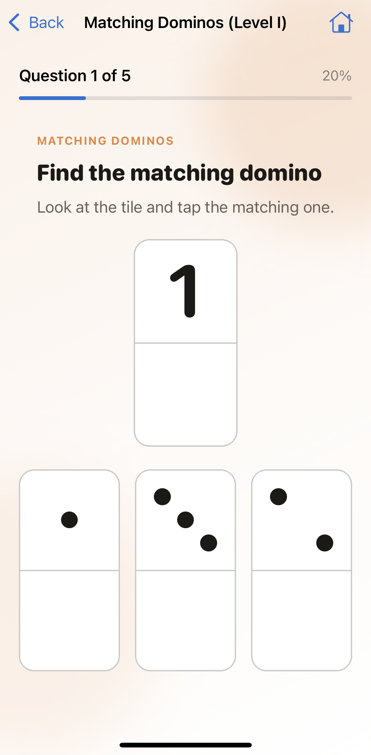 Matching Dominos game
