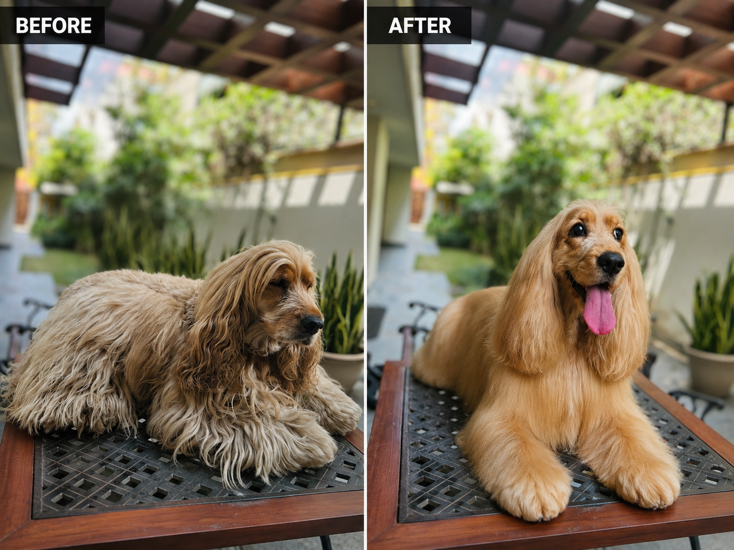 Transformation 5