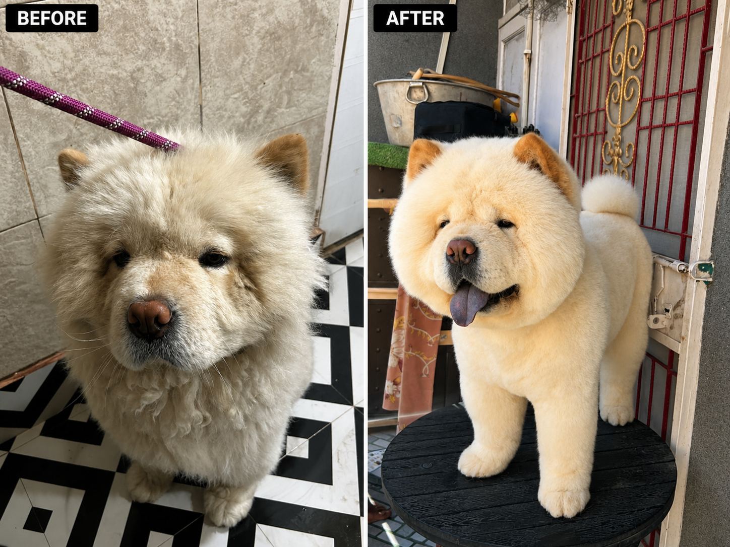 Transformation 4