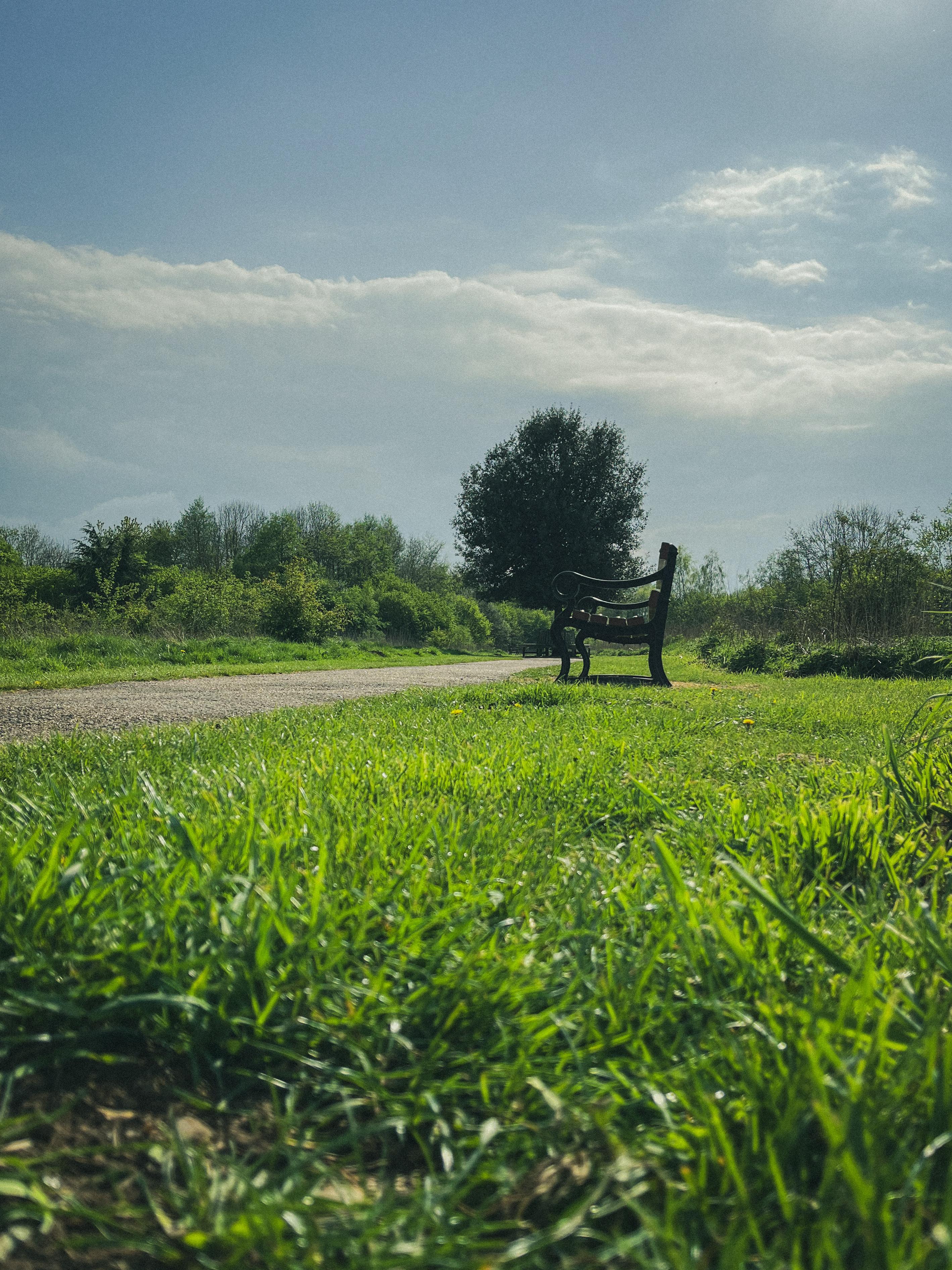 IMG_2327 / Park bench