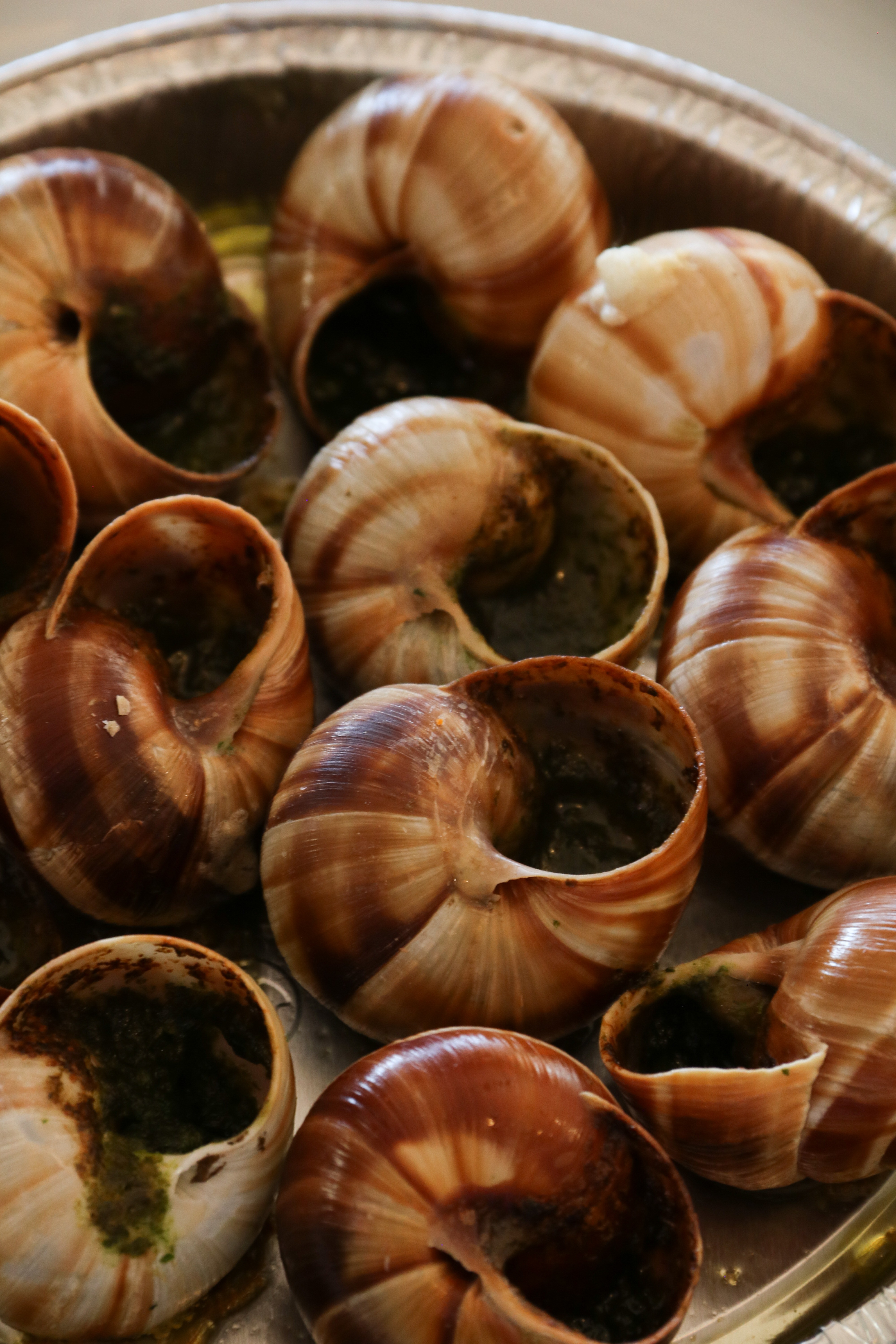 Escargots de Bourgogne