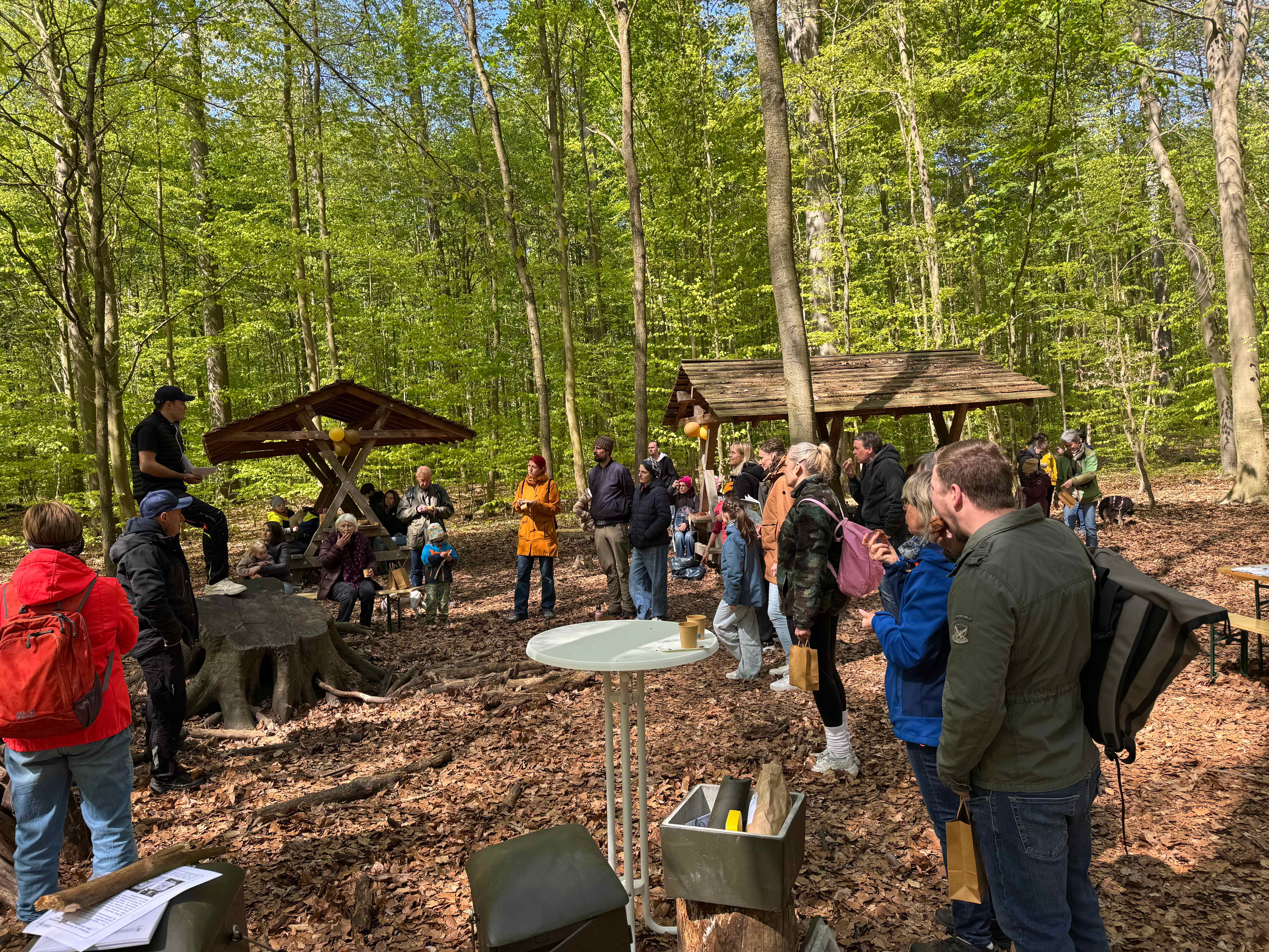 Übersicht über die Veranstaltungsfläche im Wald