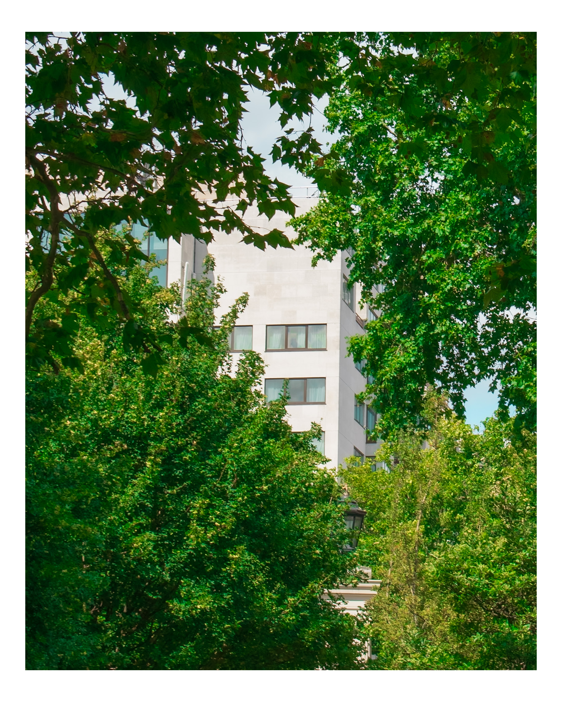IMG_2998 / Perspective