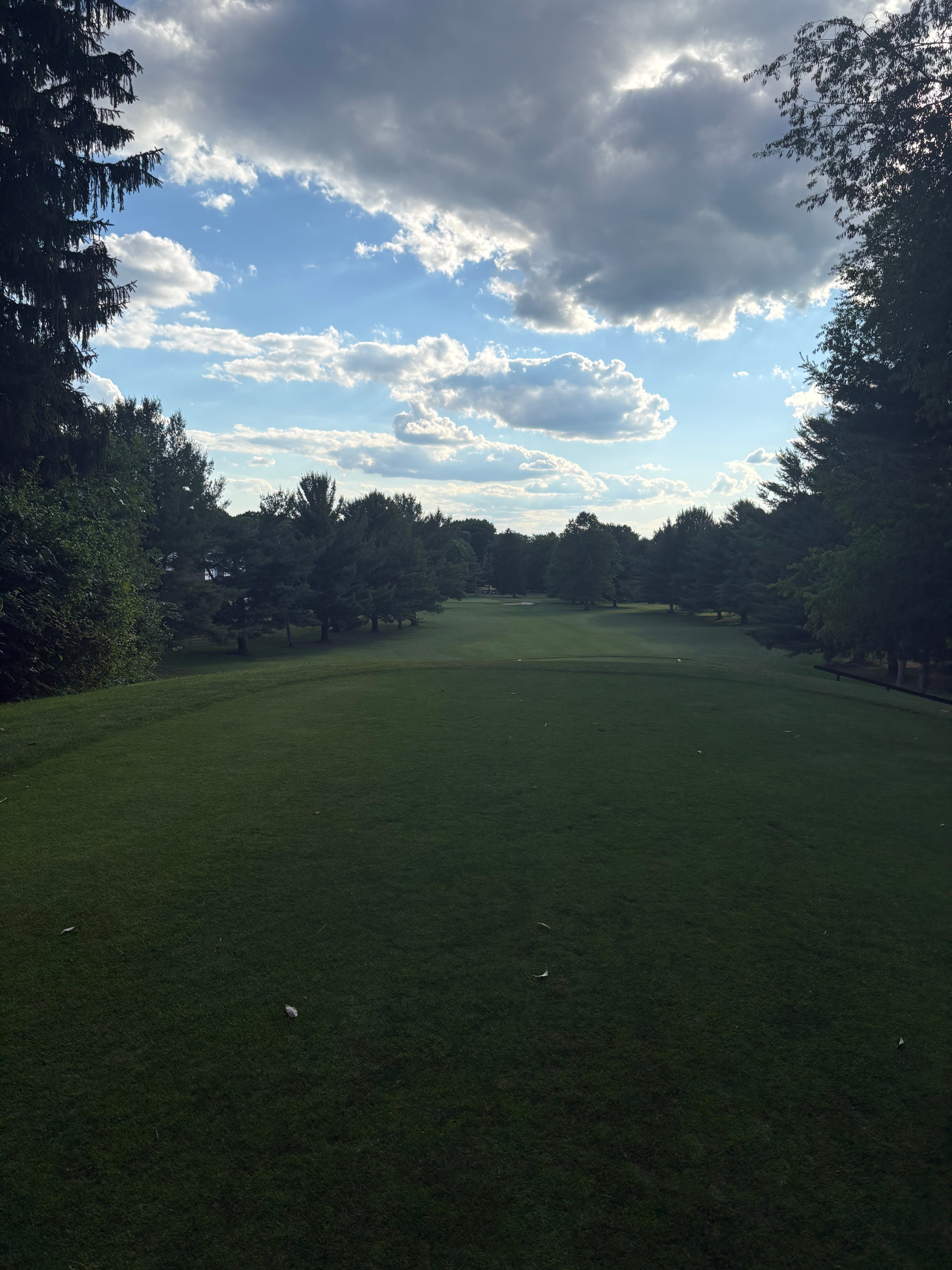 Tree-framed fairway descending to a green under dramatic clouds