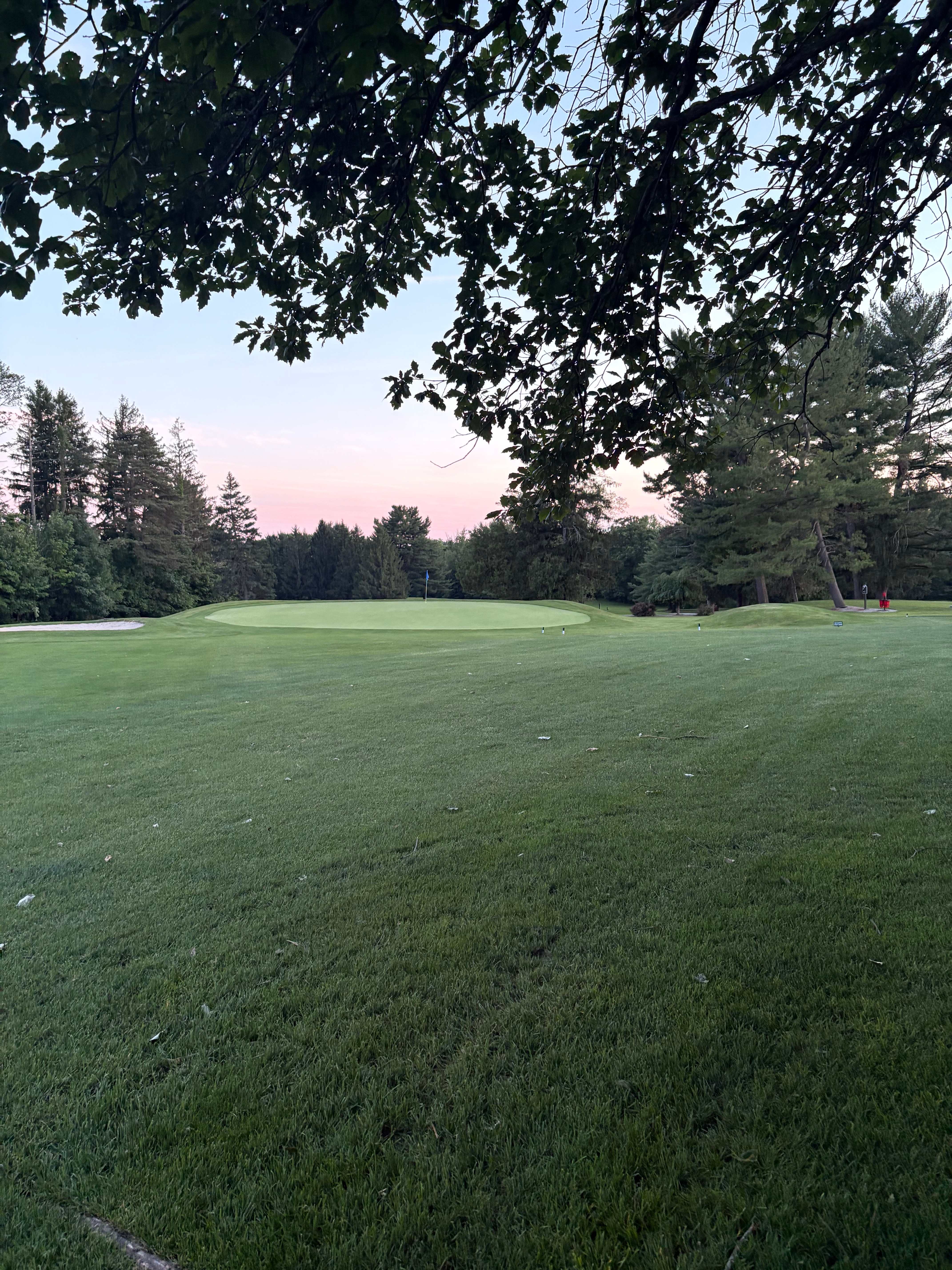 Green with a blue flag framed by overhanging tree branches at dusk