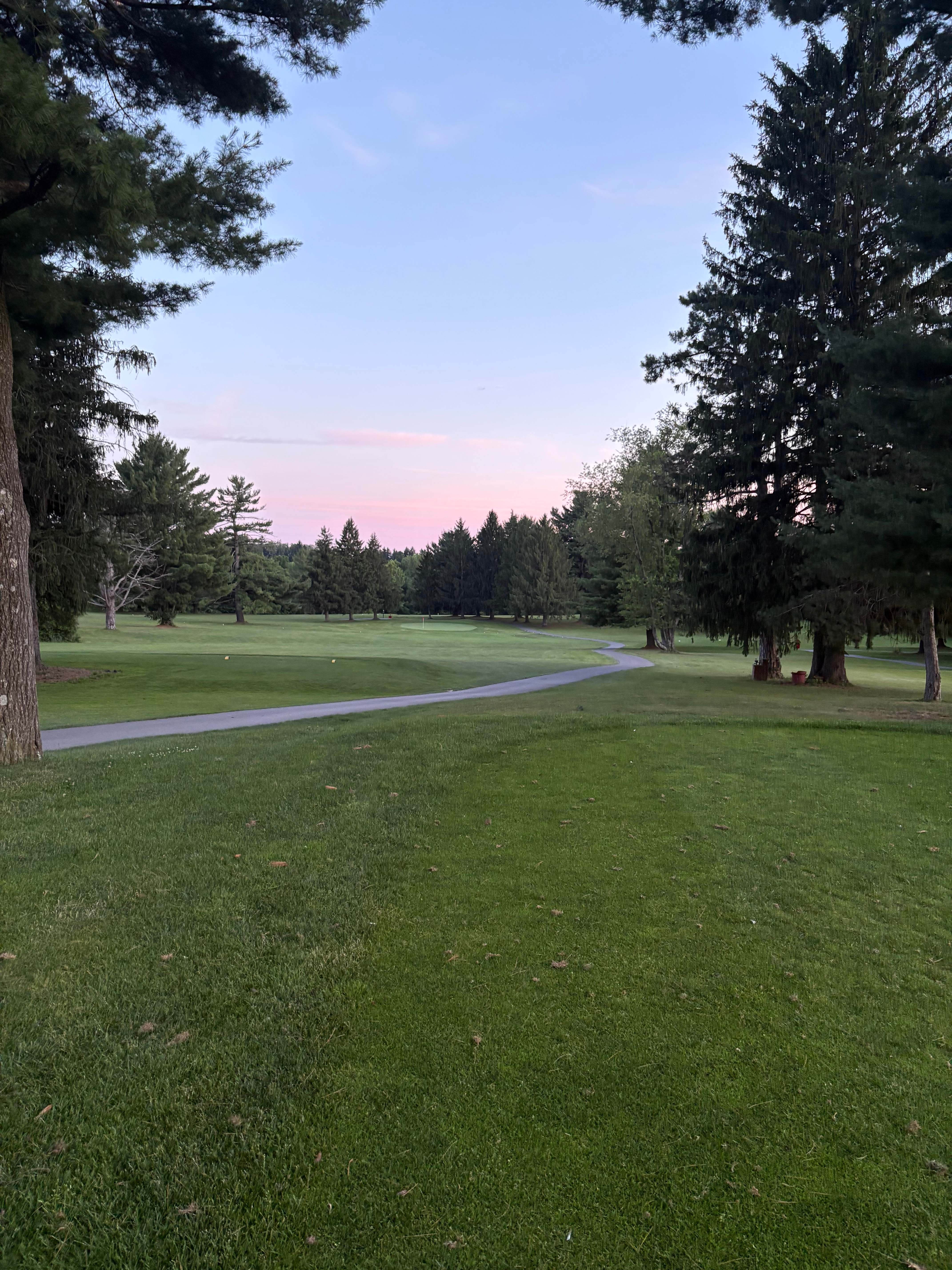 Fairway framed by large pines with a distant green and pink sunset