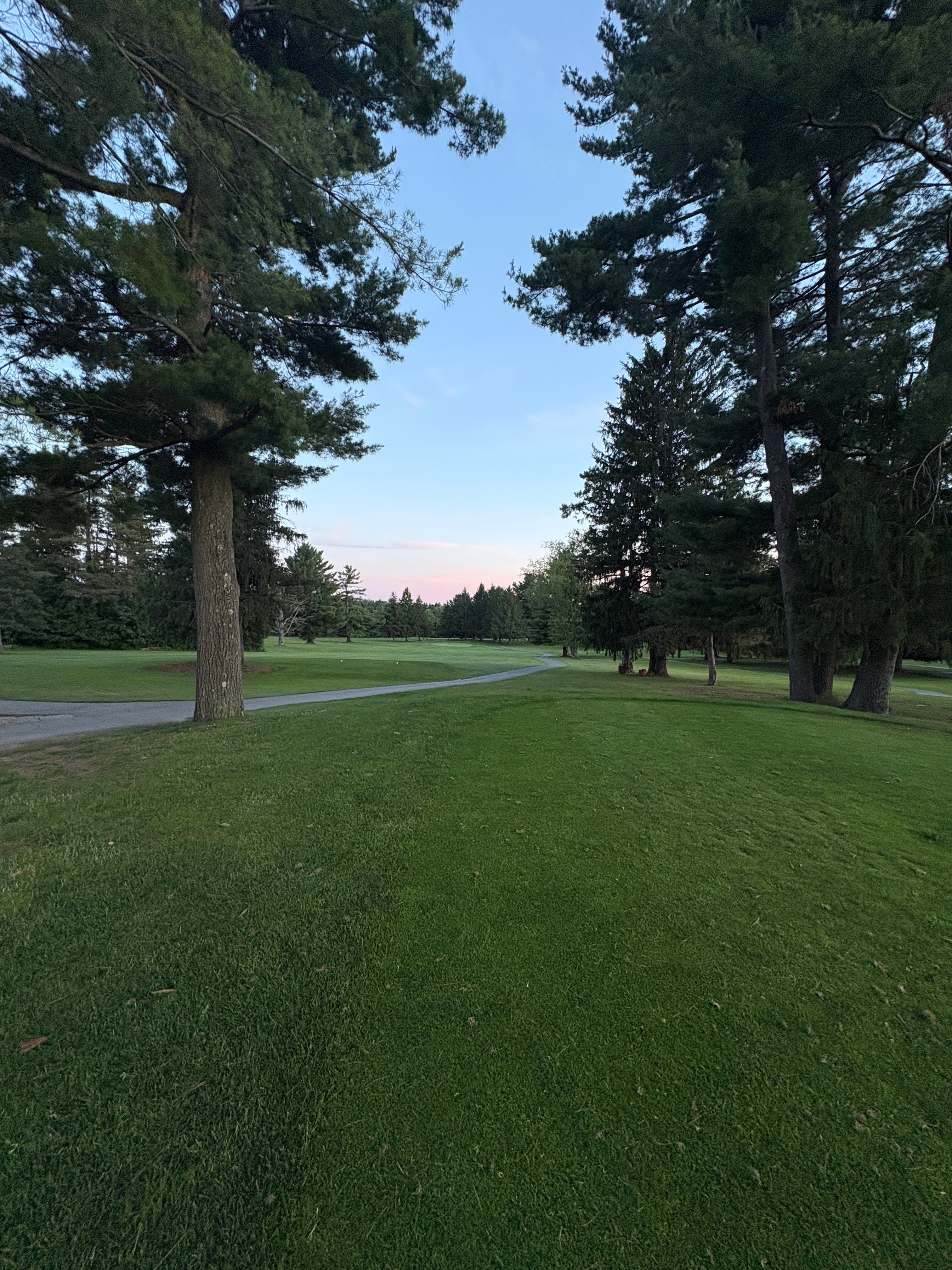 Fairway framed by towering pines with a cart path and pink horizon
