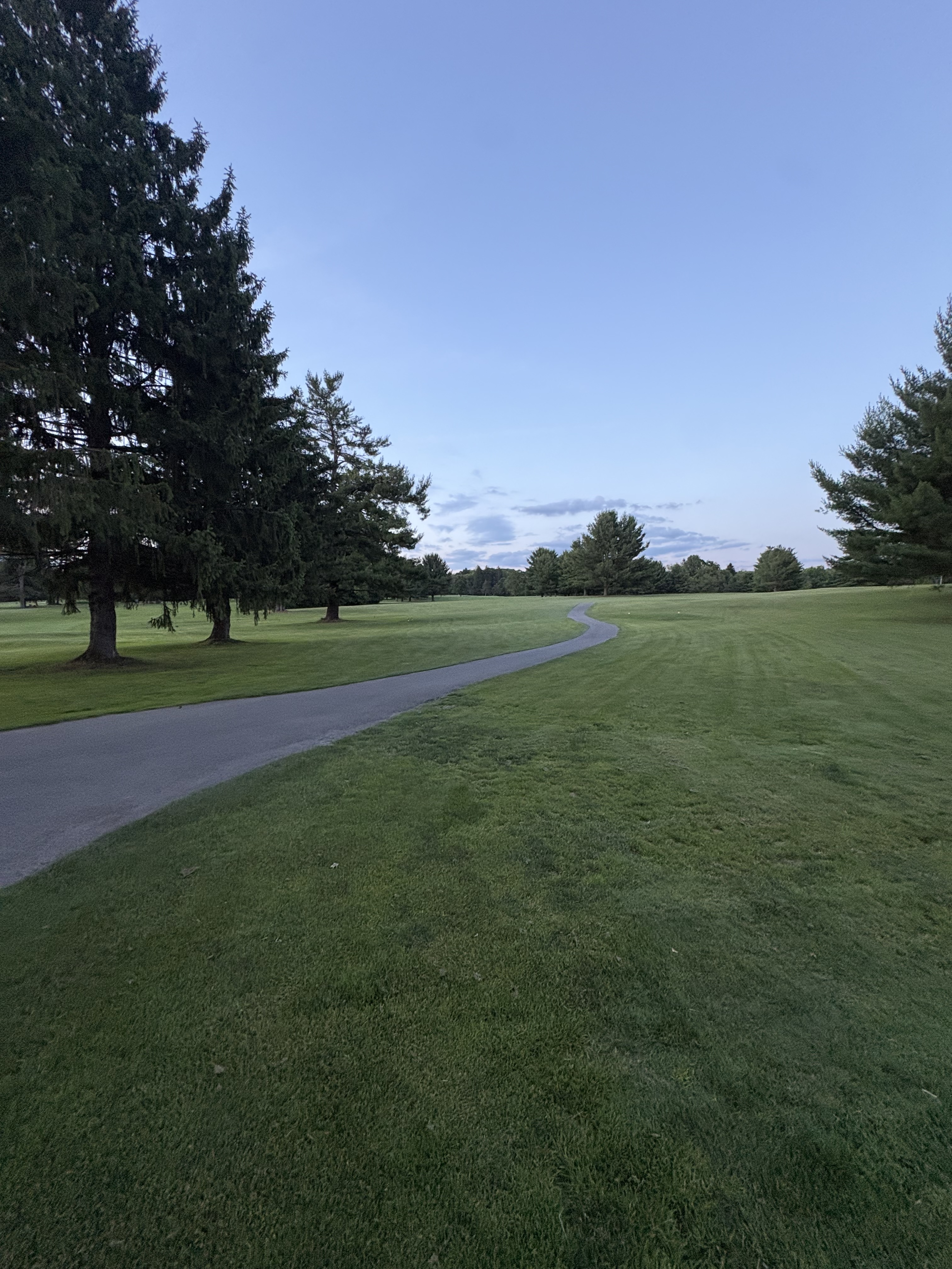 Winding cart path through a fairway lined with spruce trees at blue dusk