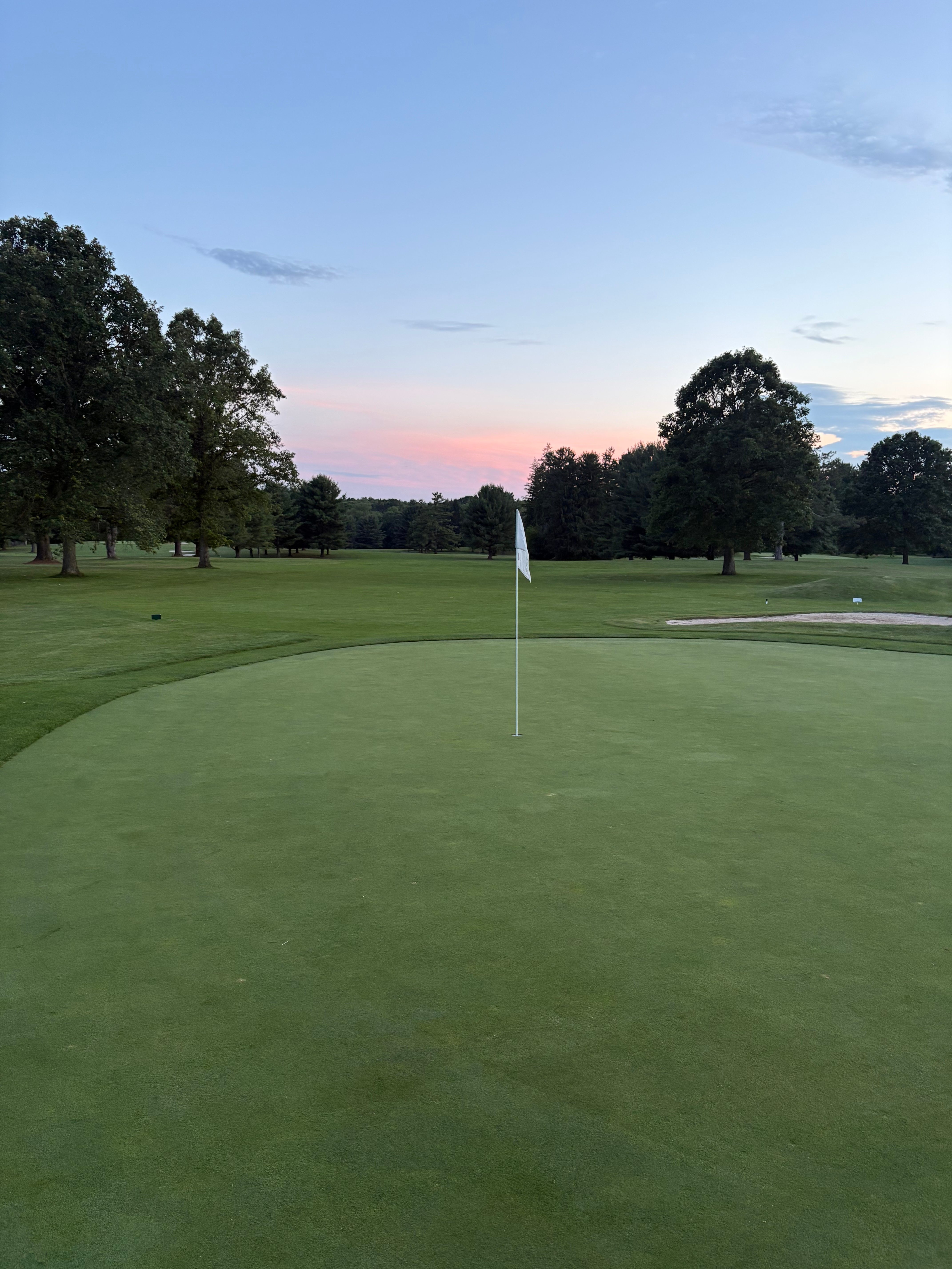Putting green with a white flagstick against a pink sunset sky