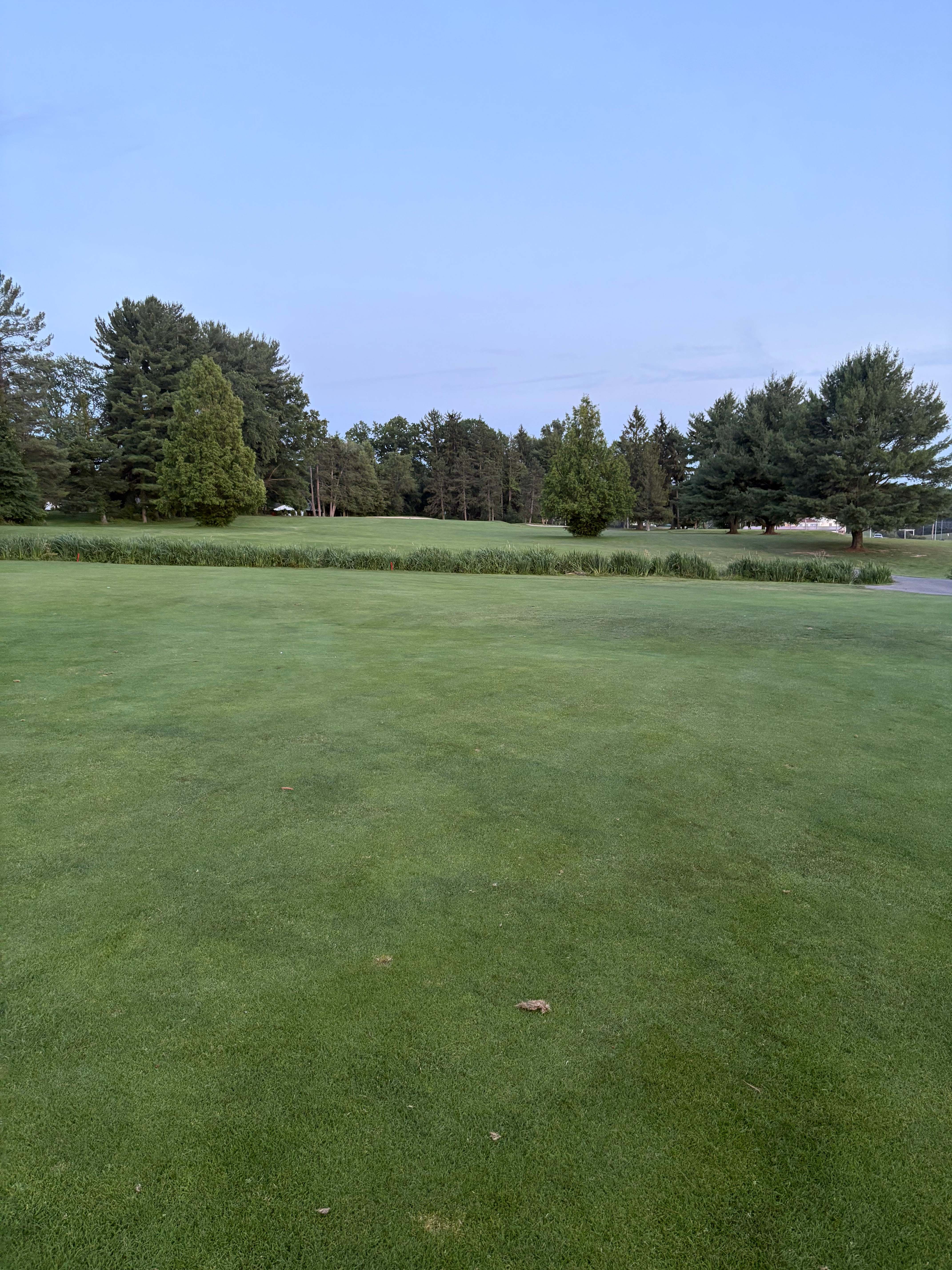 Broad green bordered by a cattail pond and mature trees