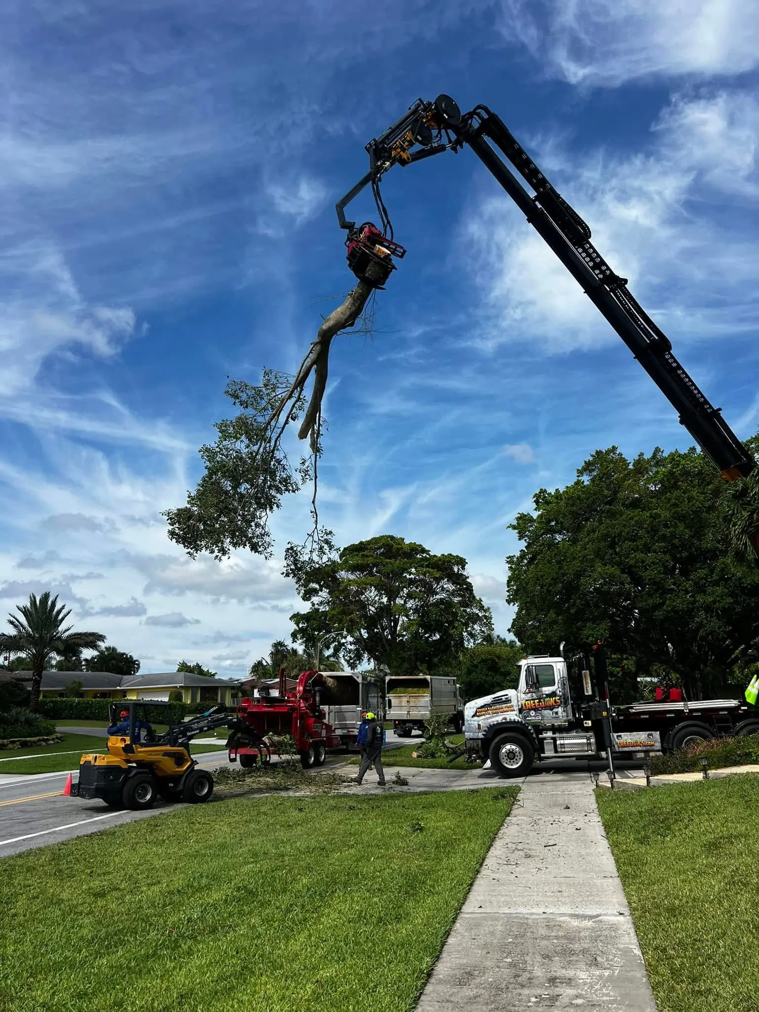 Tree removal by Integrity Landscape showing a large grapple crane lifting an entire uprooted tree section high above a residential street, with a red wood chipper, mini skid-steer loader, and service trucks on site in Palm Beach County