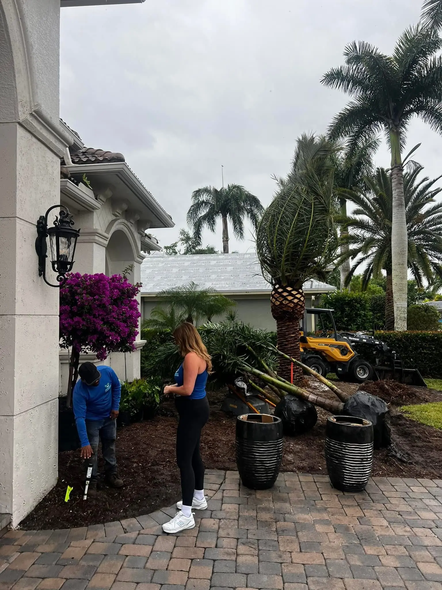 Landscape installation by Integrity Landscape showing a crew member and designer reviewing progress on a luxury home front yard, with a tall date palm being planted, vivid magenta bougainvillea, large black ceramic pots on a paver driveway, and a yellow mini loader on site in Palm Beach County