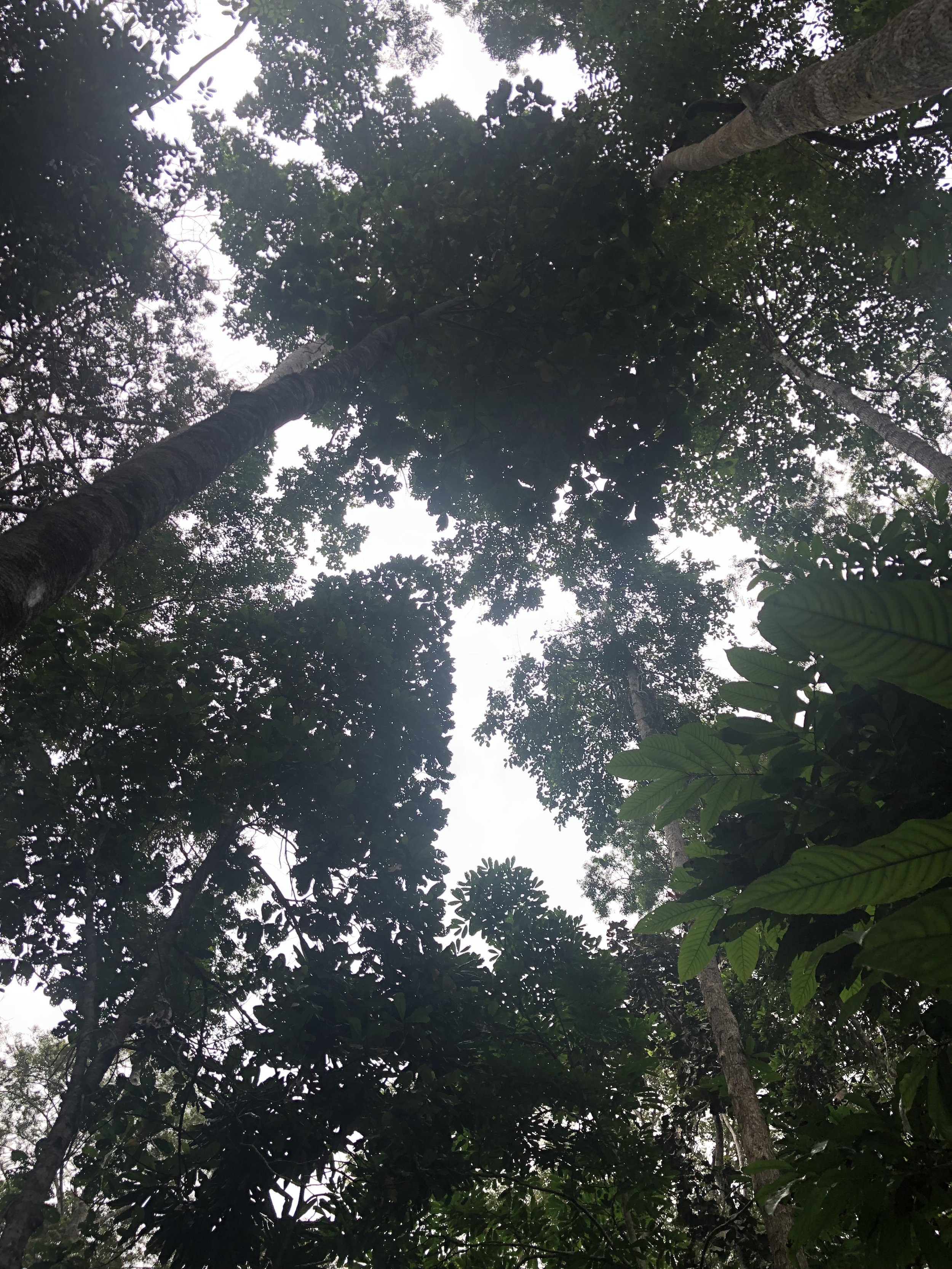 Bioko Island, Equatorial Guinea