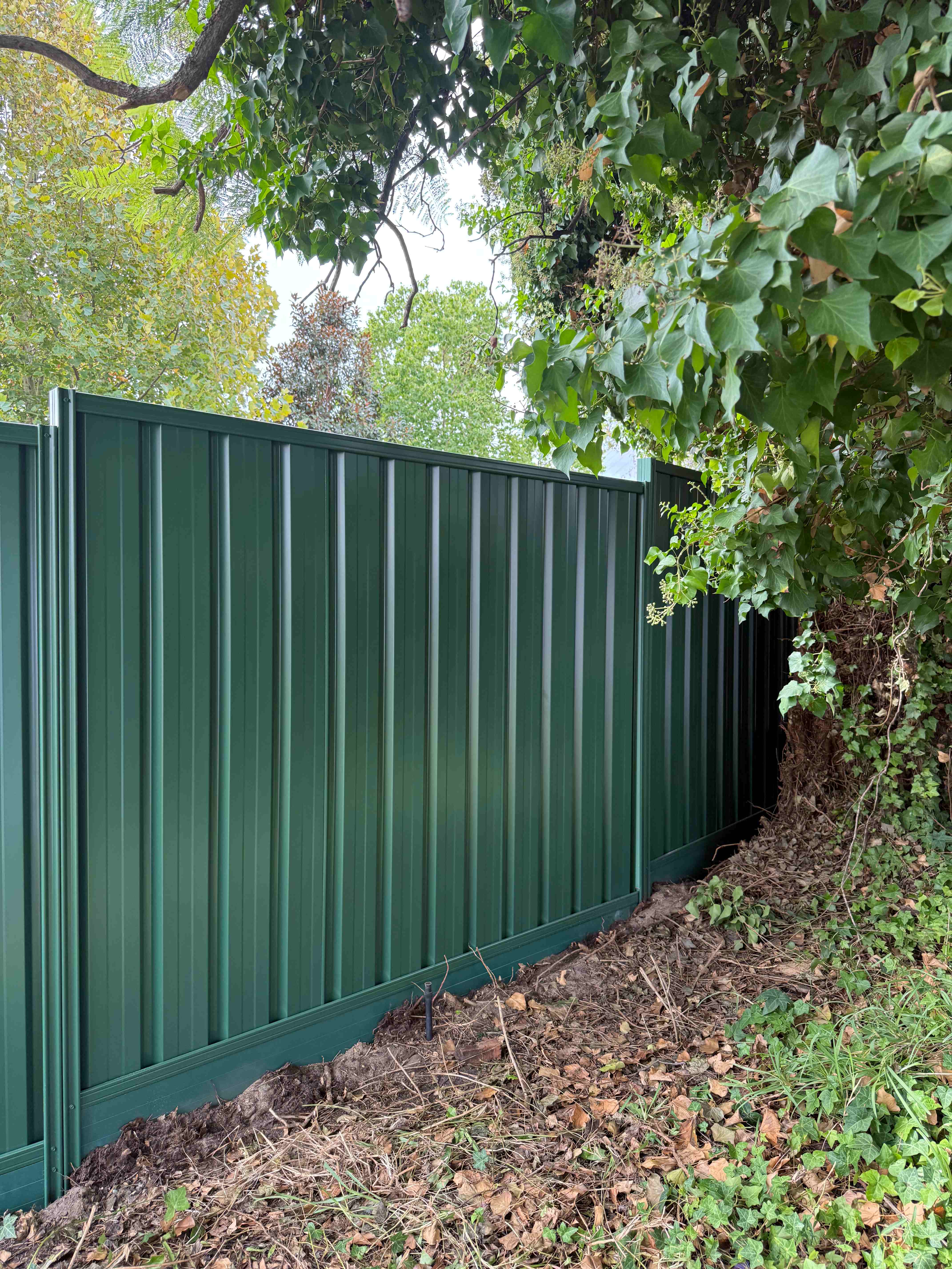 Heritage green colorbond fence in garden setting