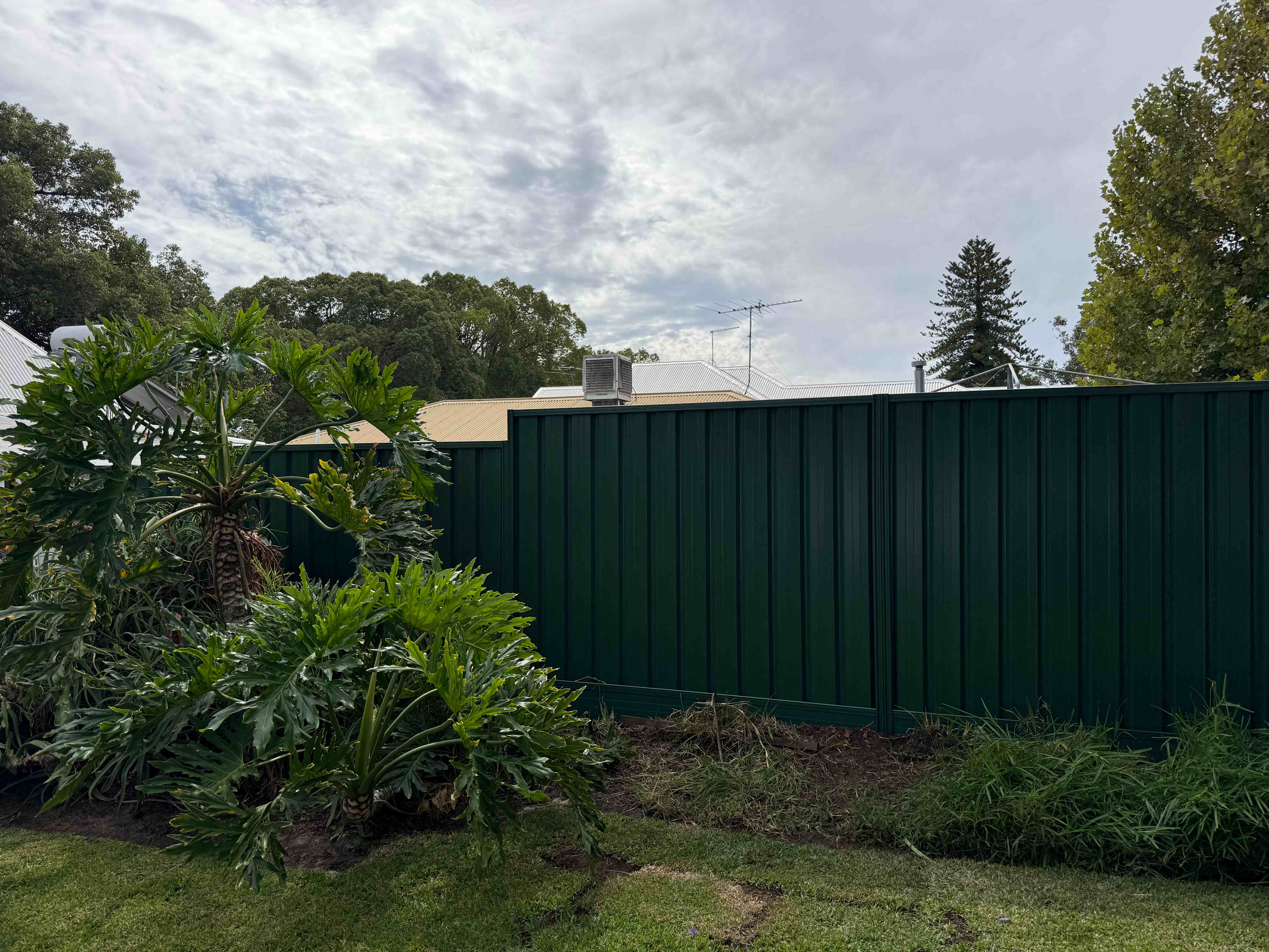 Cottage green colorbond fence with tropical landscaping