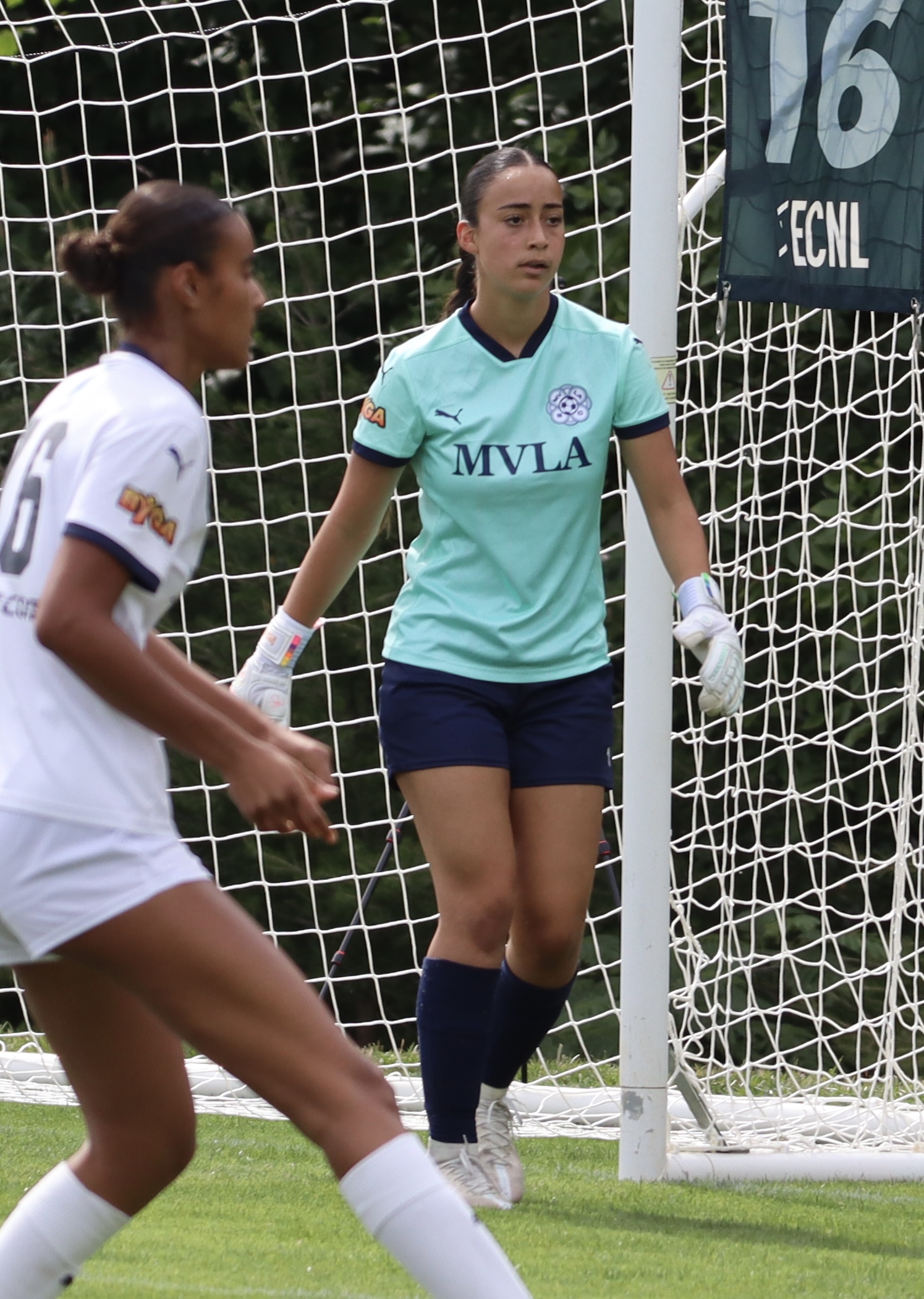 Goalkeeper at the goal