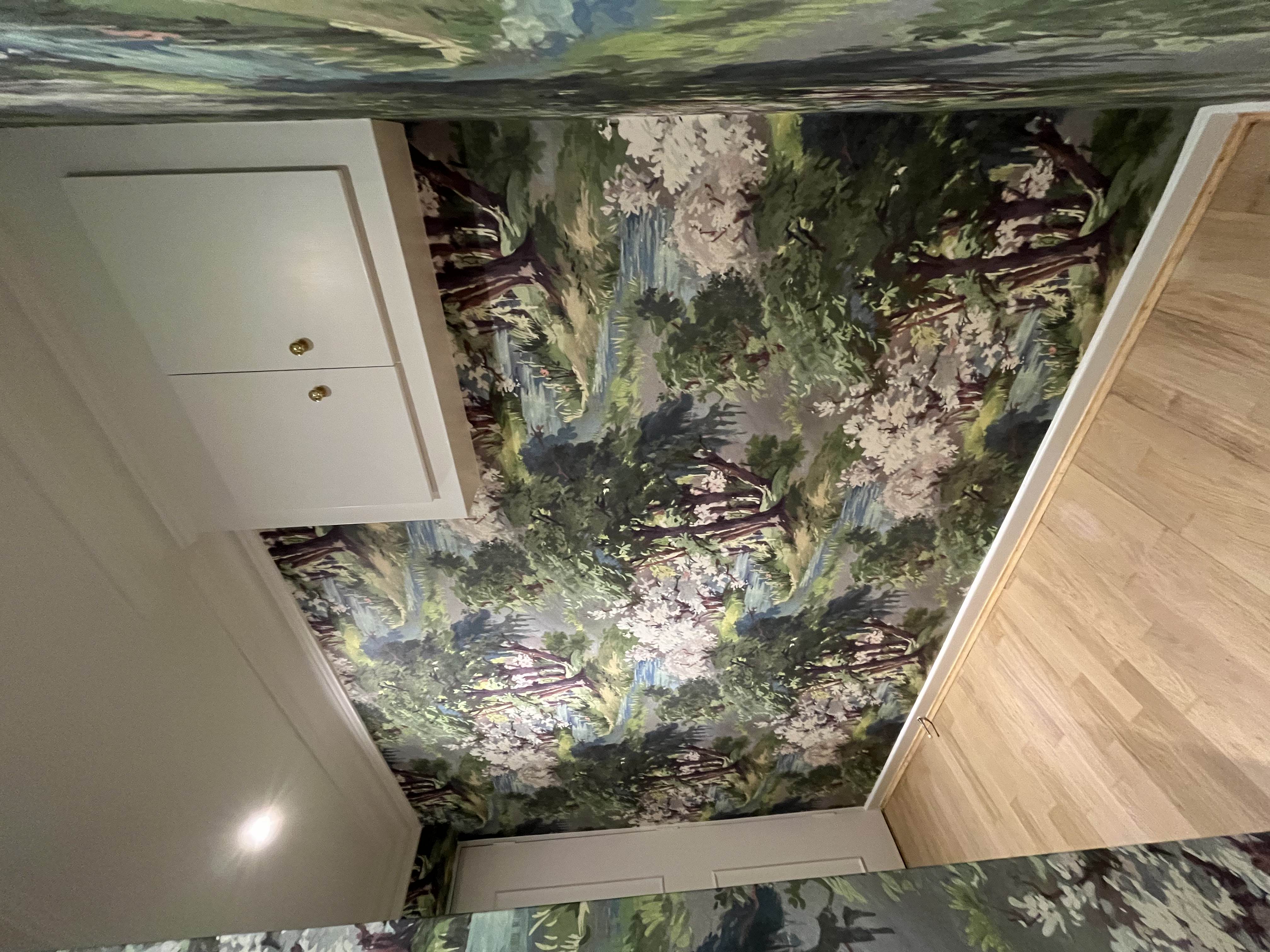 Close-up of scenic landscape wallpaper installation