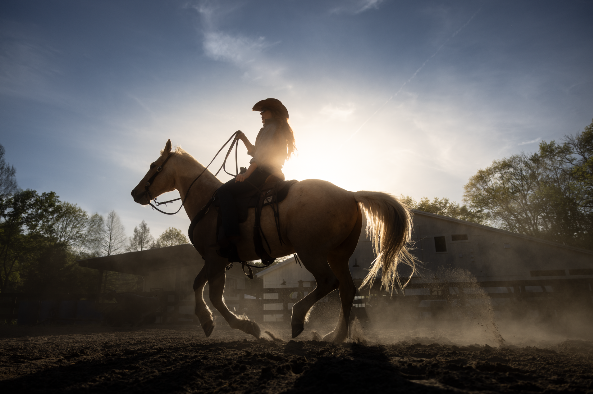 Cowgirl riding horse silhouetted against backlit sky