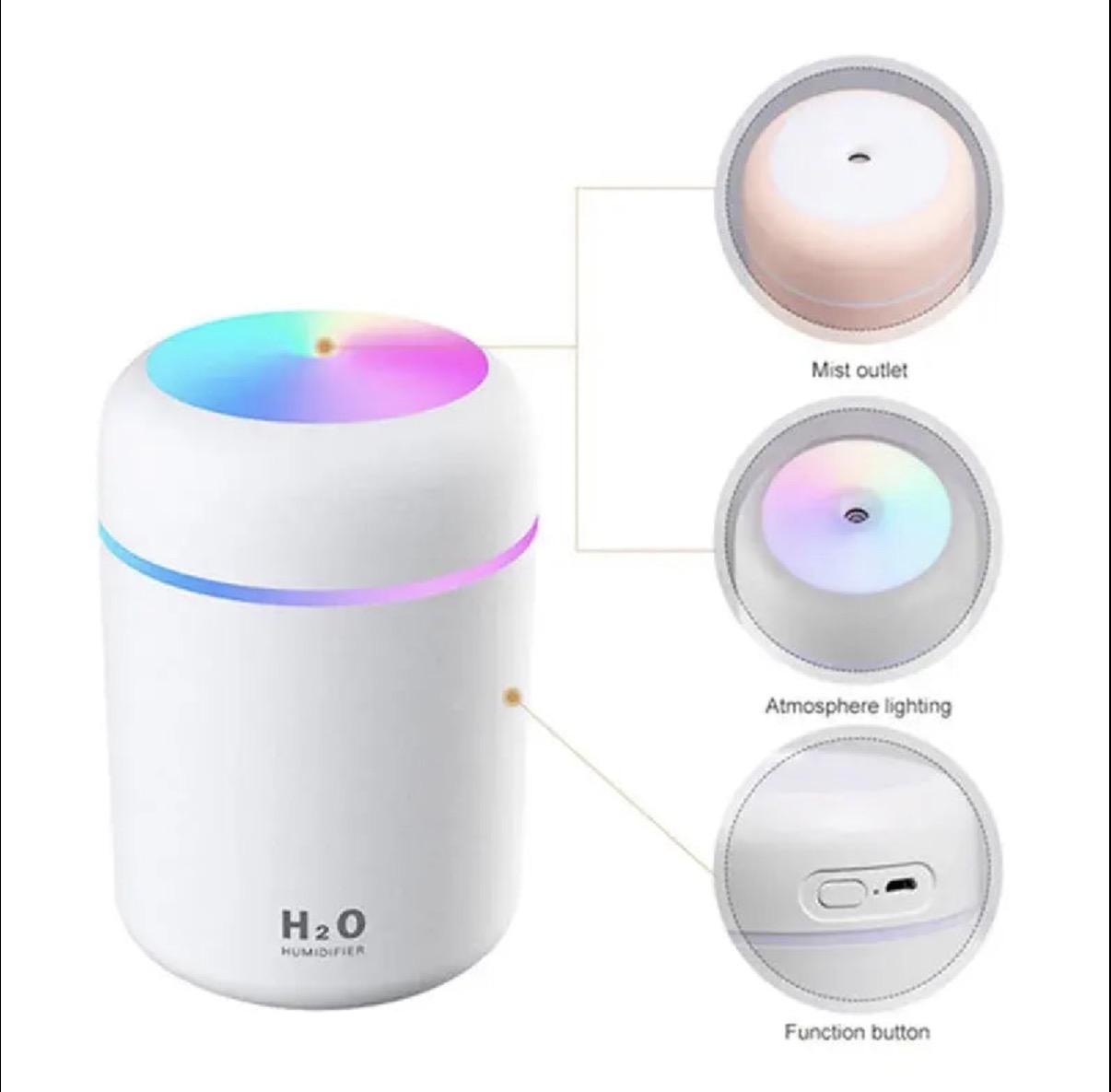 H2O Humidifier