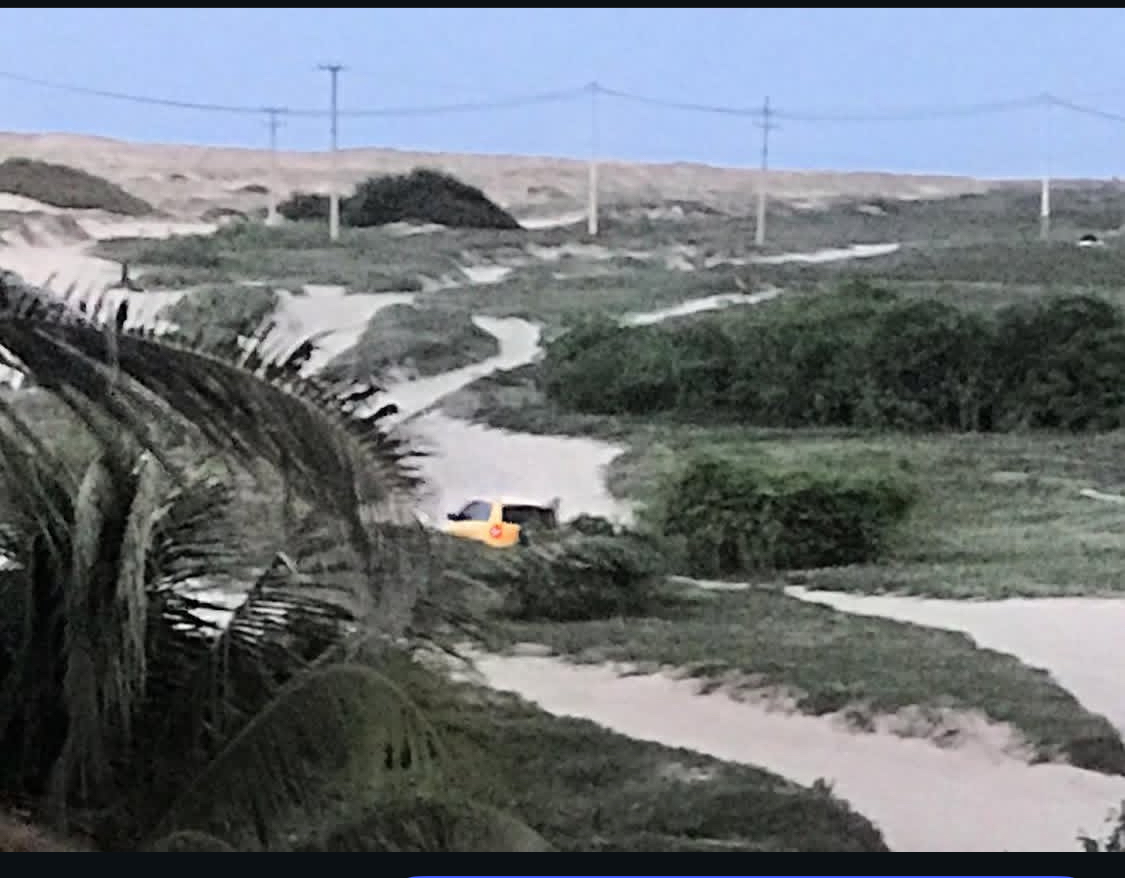 Dunas de areia e paisagem natural
