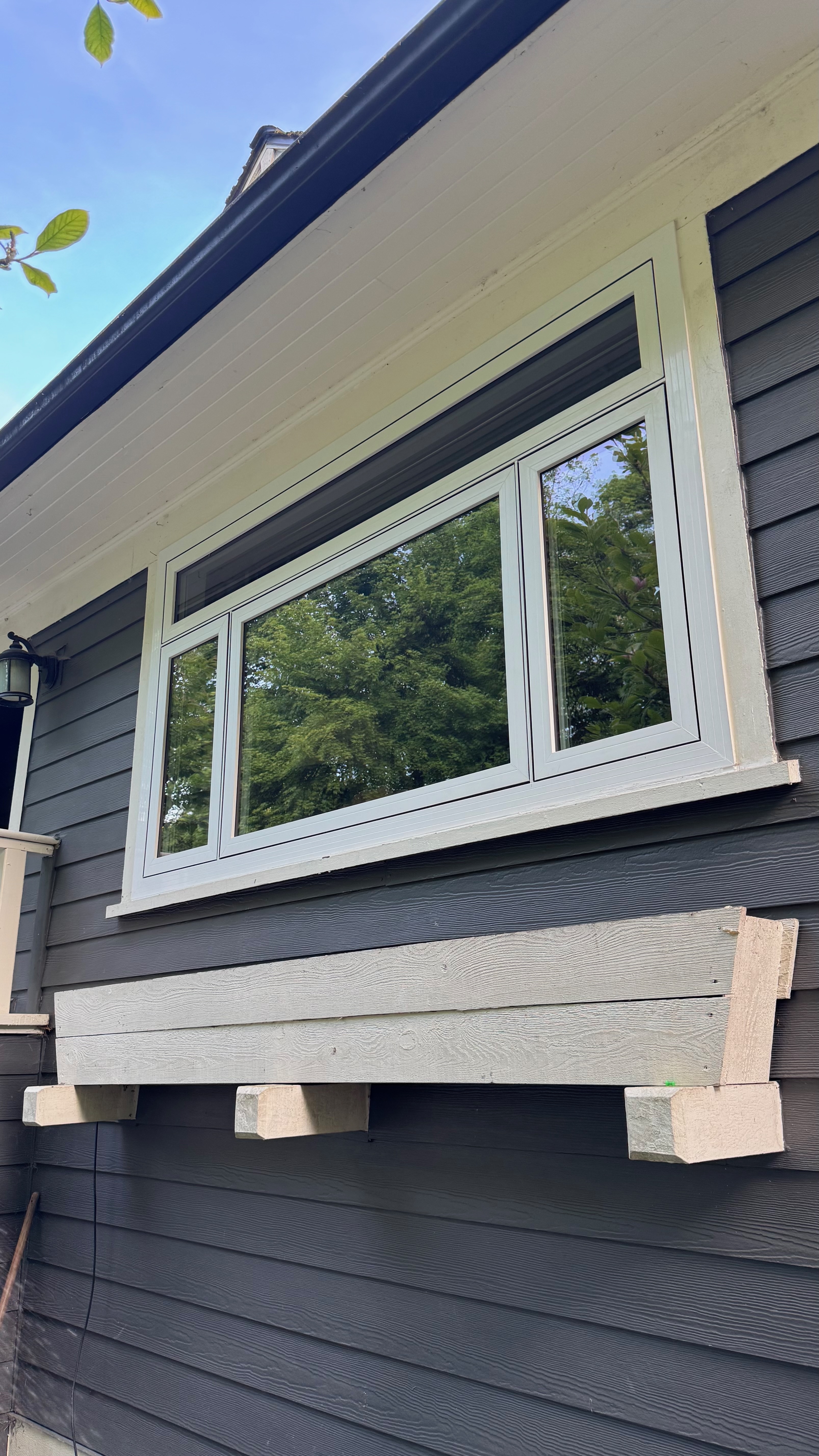 Sparkling clean large windows after a professional clean, reflecting trees