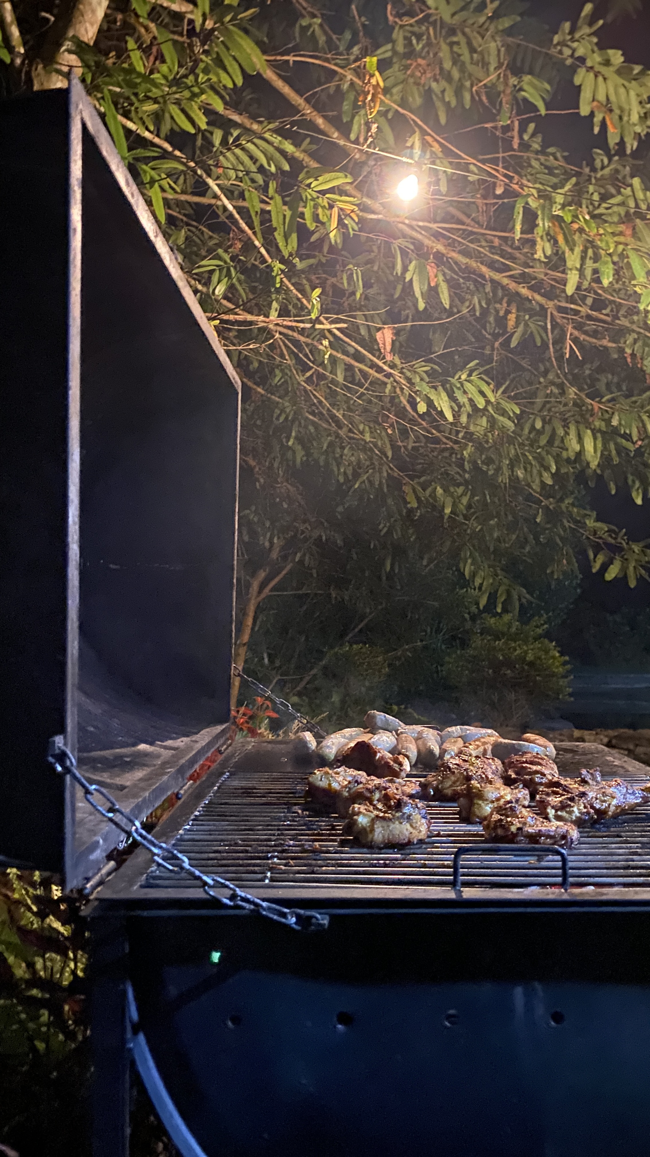 Evening BBQ under the trees