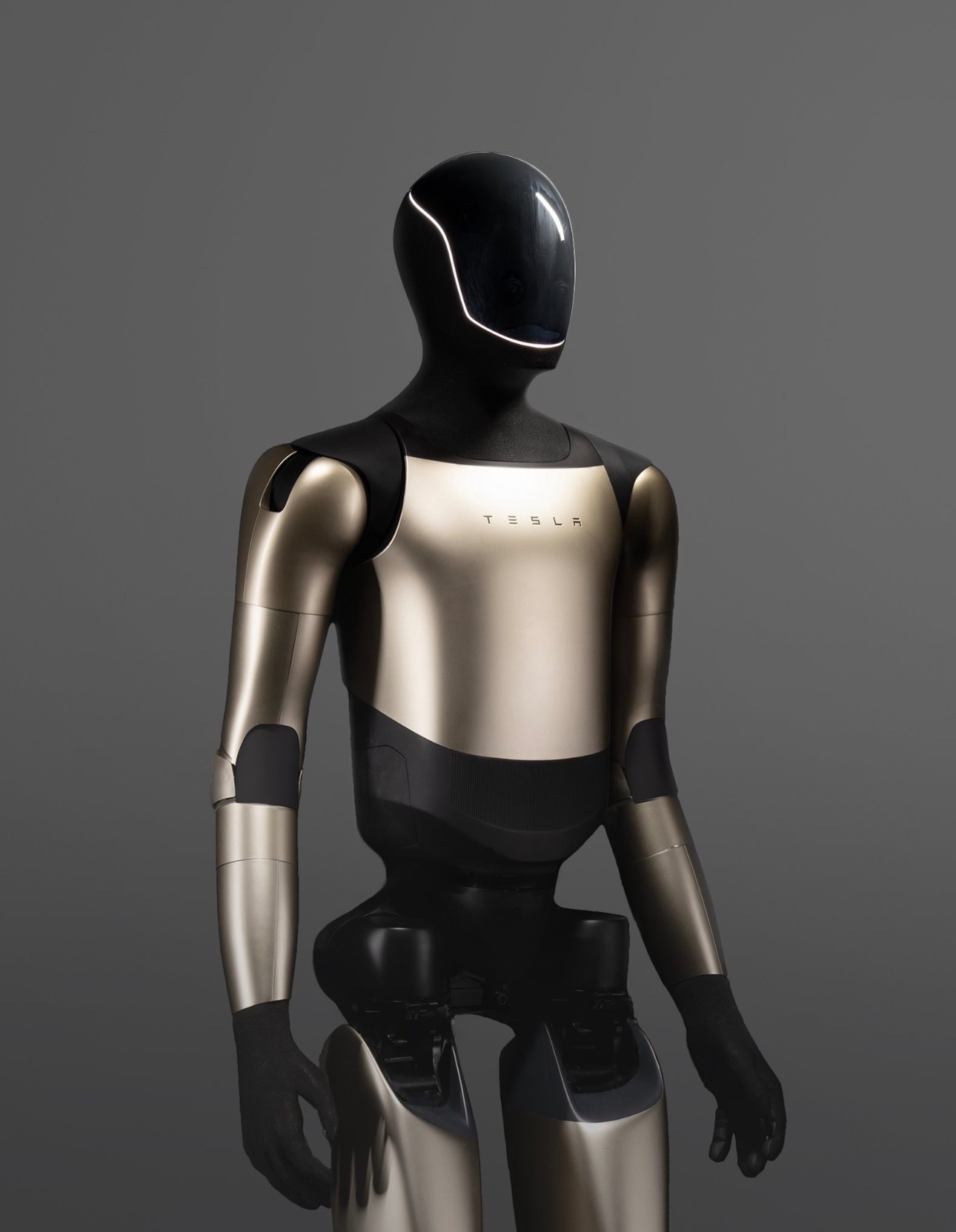 Tesla Humanoid Robot