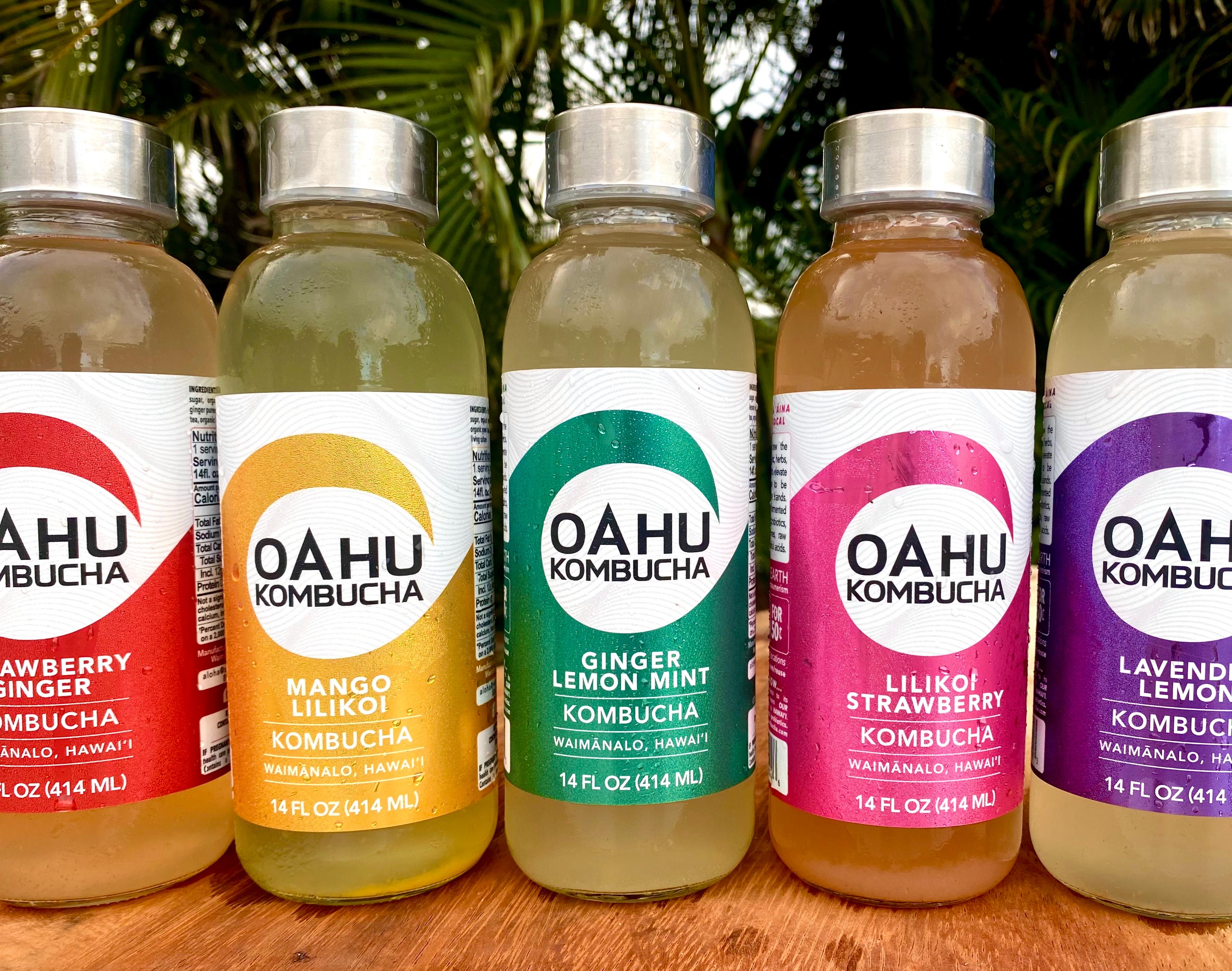 Row of five Oahu Kombucha flavors against tropical palms