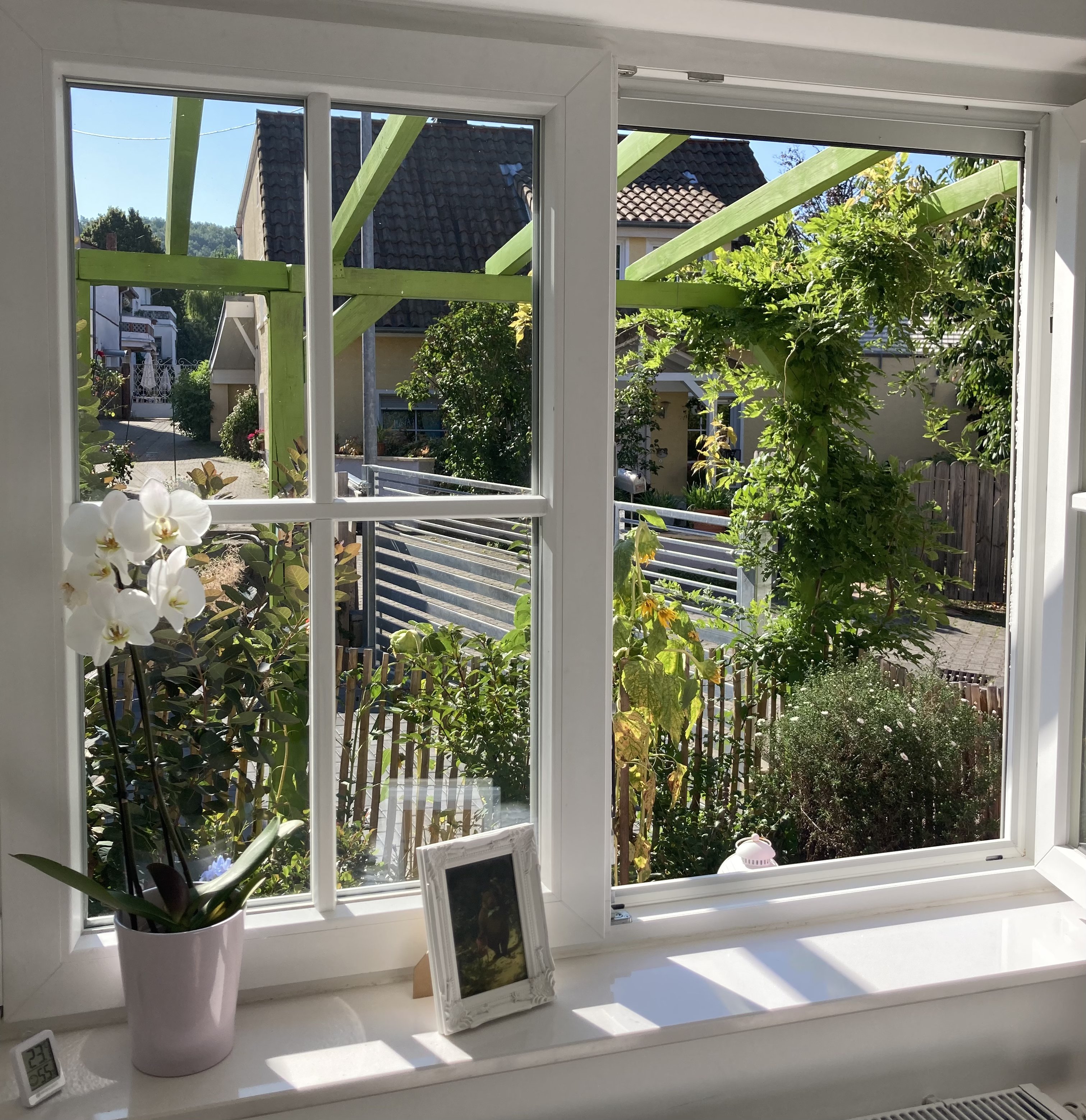 Heller Ausblick aus dem Backeshäuschen auf den begrünten Innenhof